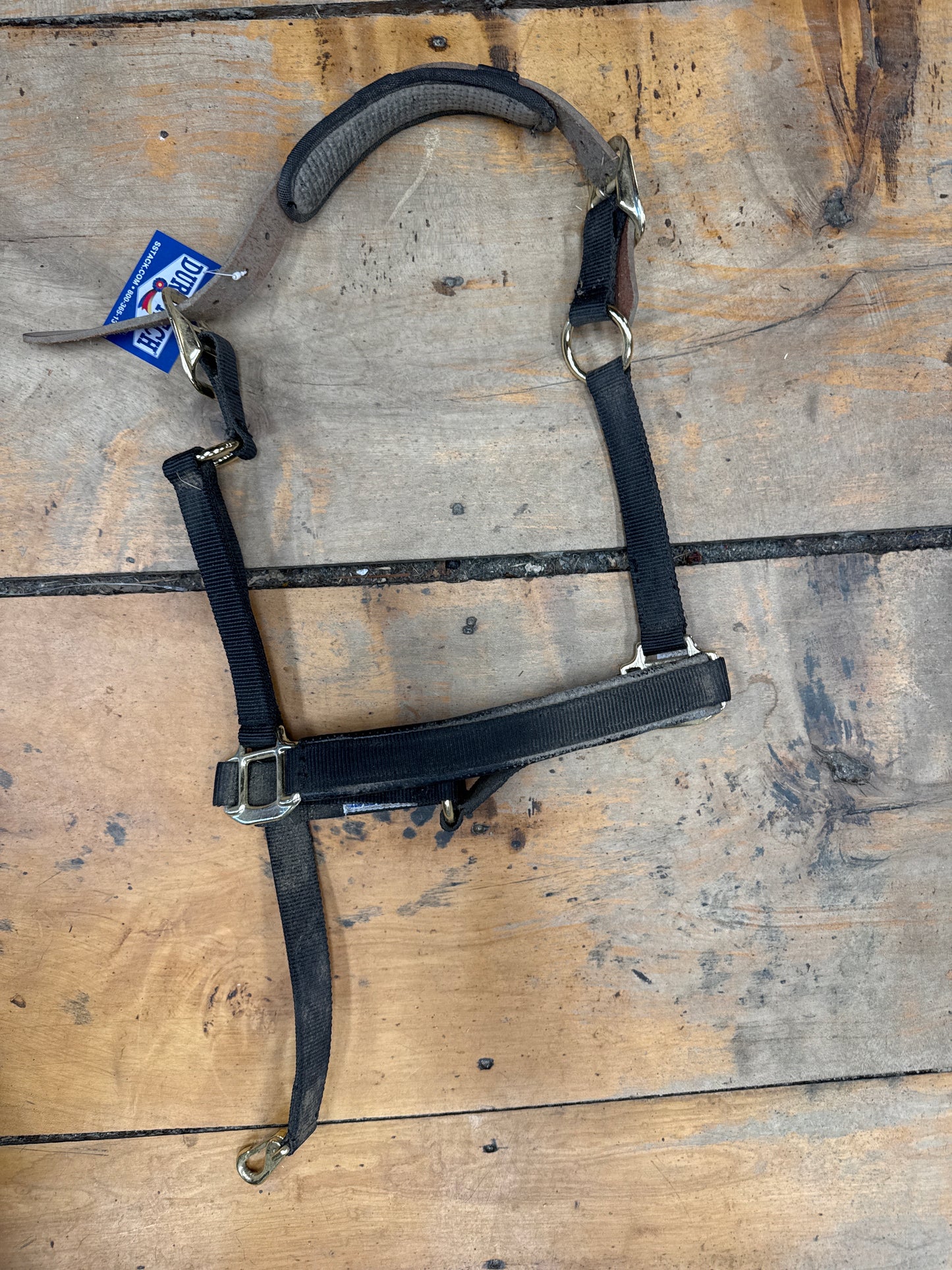 Dura-Tech Halter- full