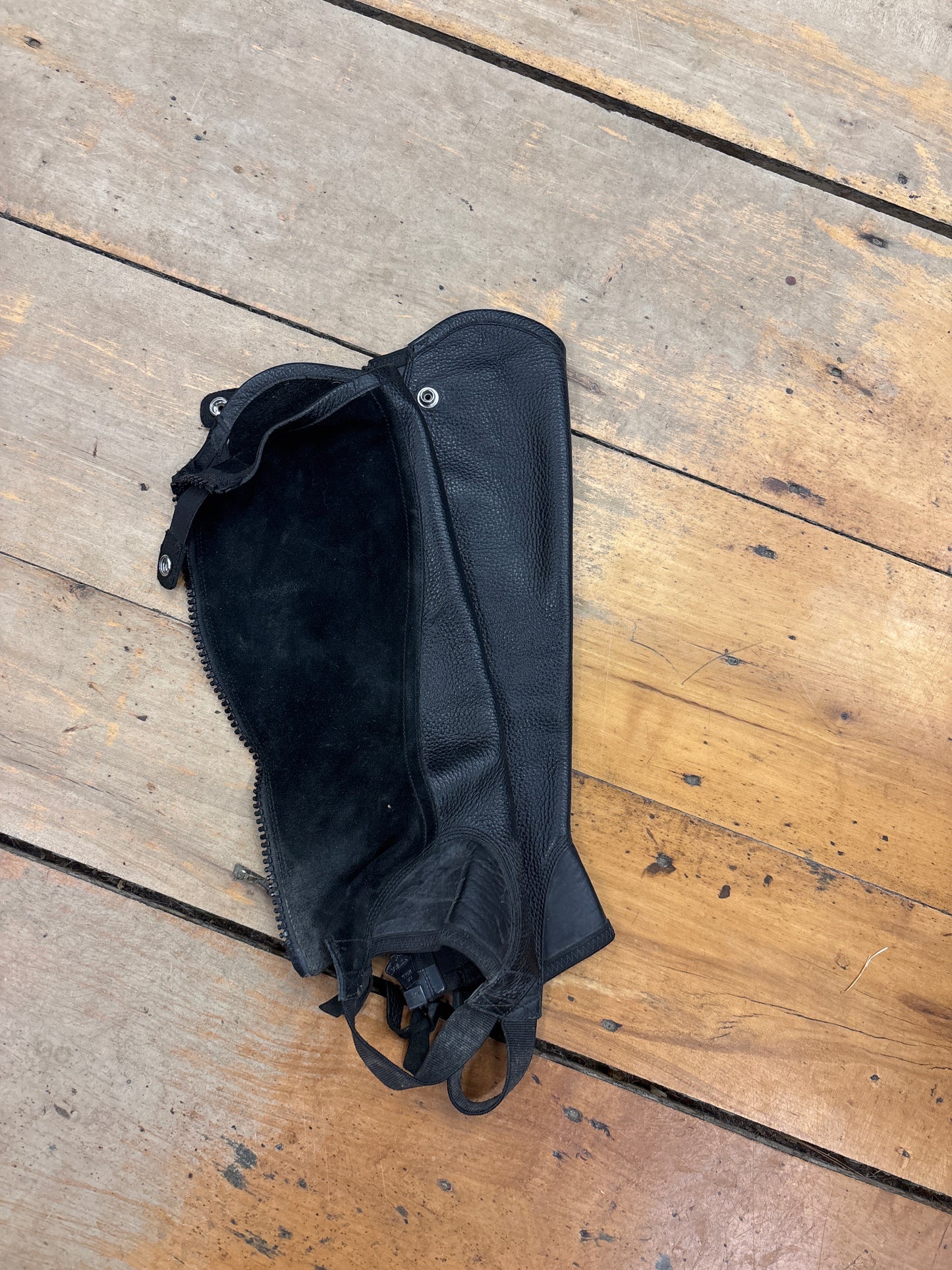 Ariat Concord Half Chaps-Black-Small