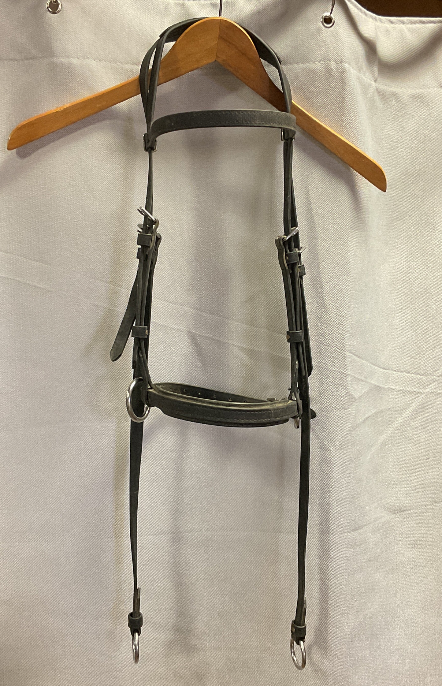 Bitless Bridle- Black