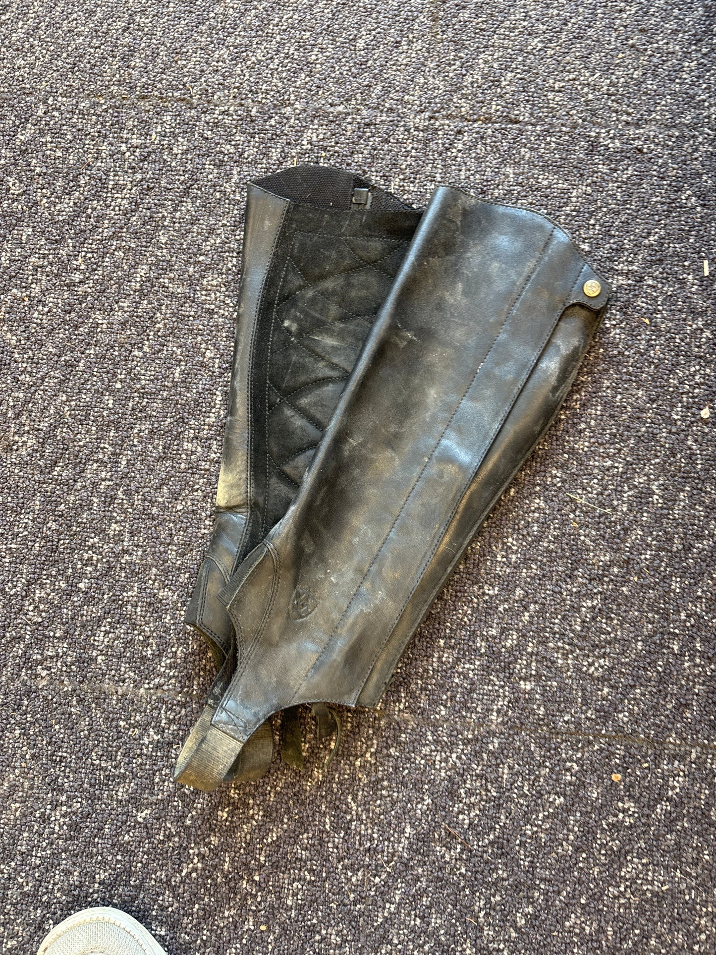 Ariat Leather Half Chaps-Black-XSmall