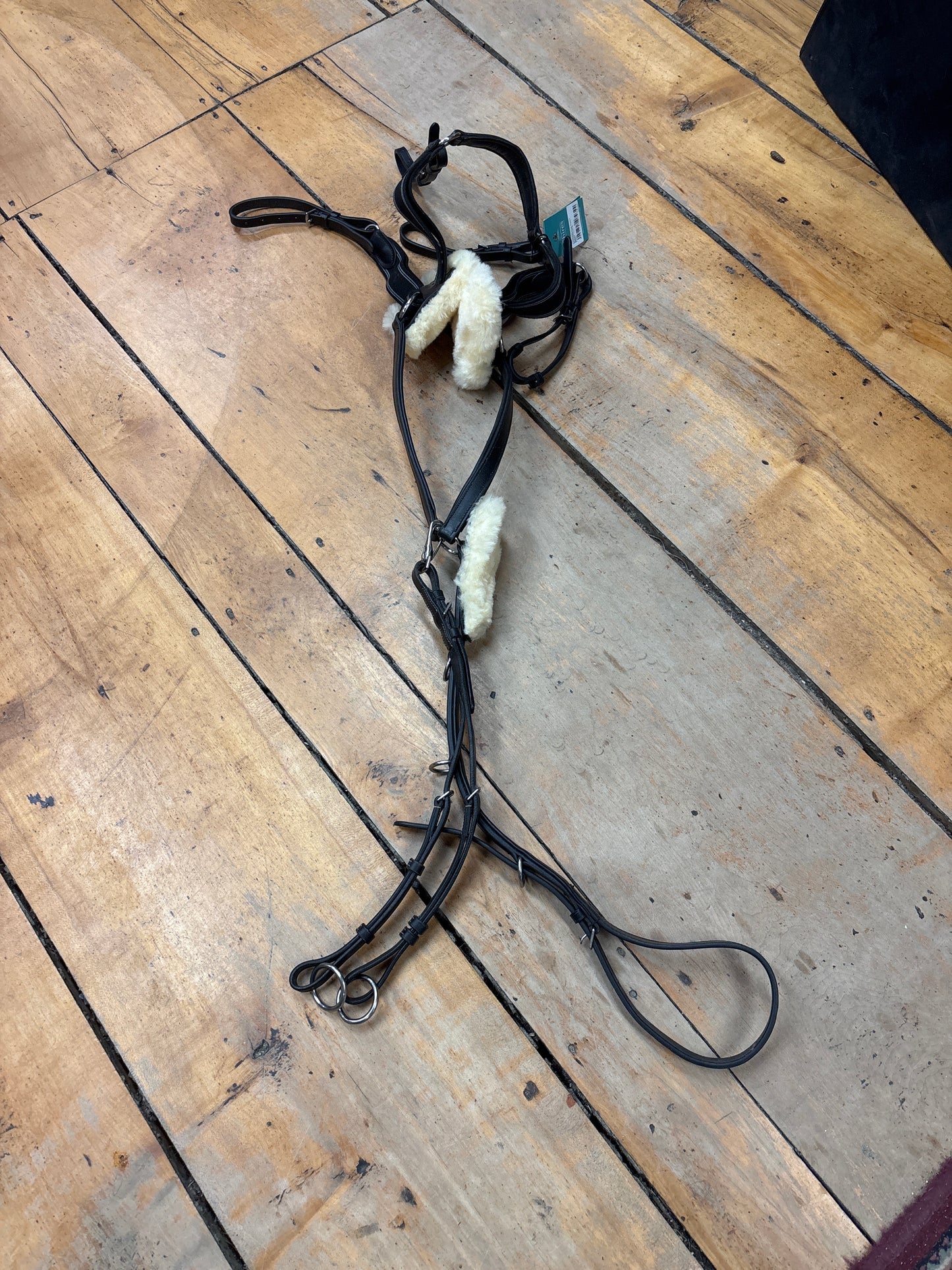 NEW Shires Avignon 5 Way Breastplate-Black-Pony