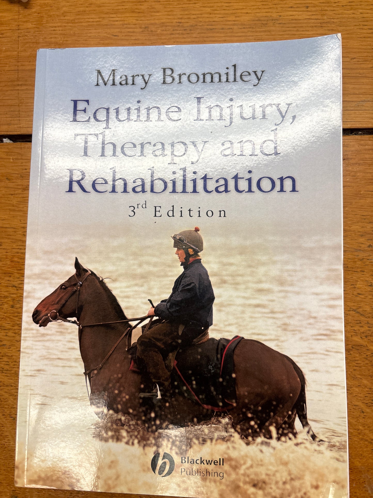 Equine Injury, Therapy and Rehabilitation