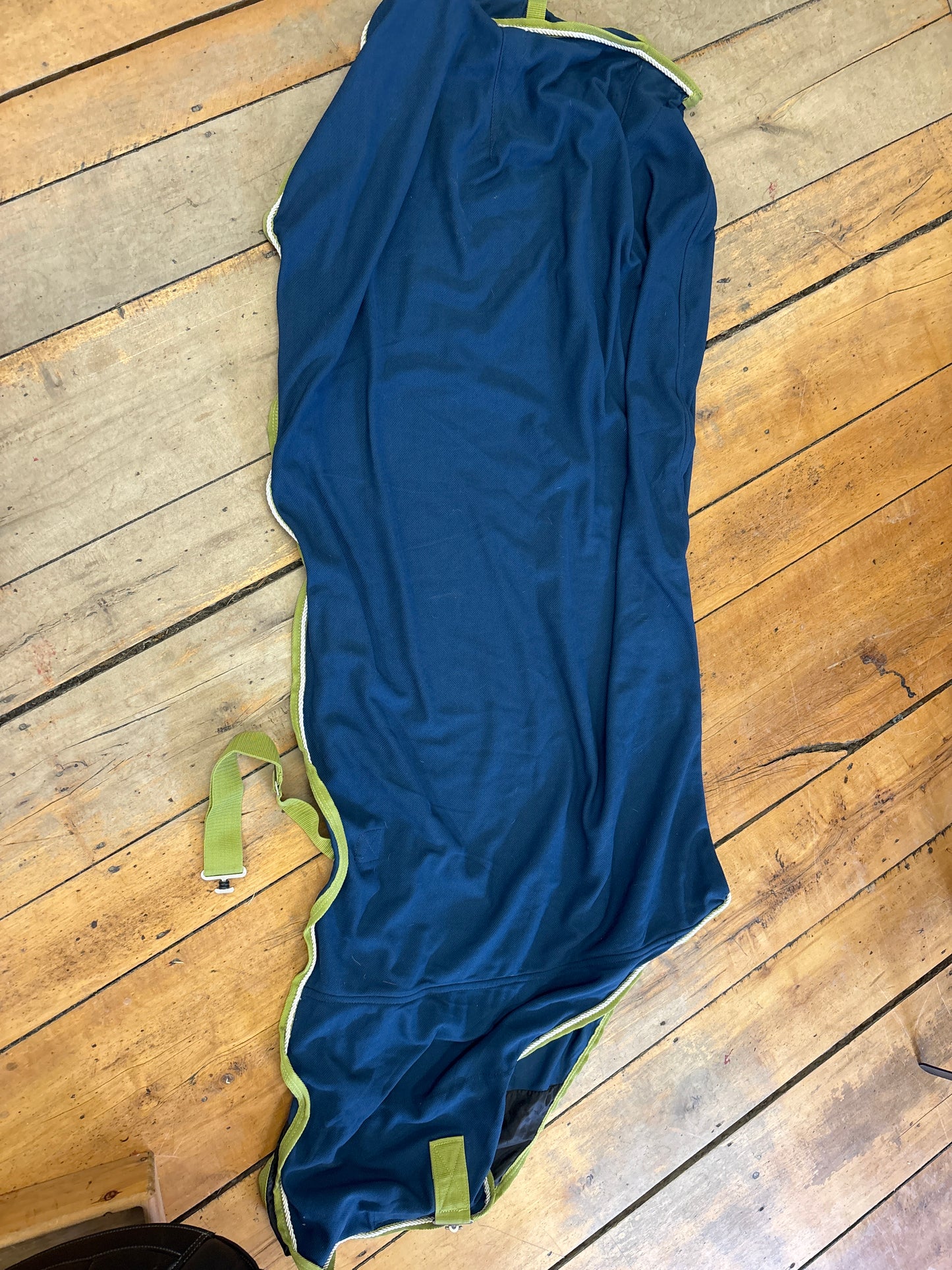 Shedrow Stable Sheet-Blue/Green-69”