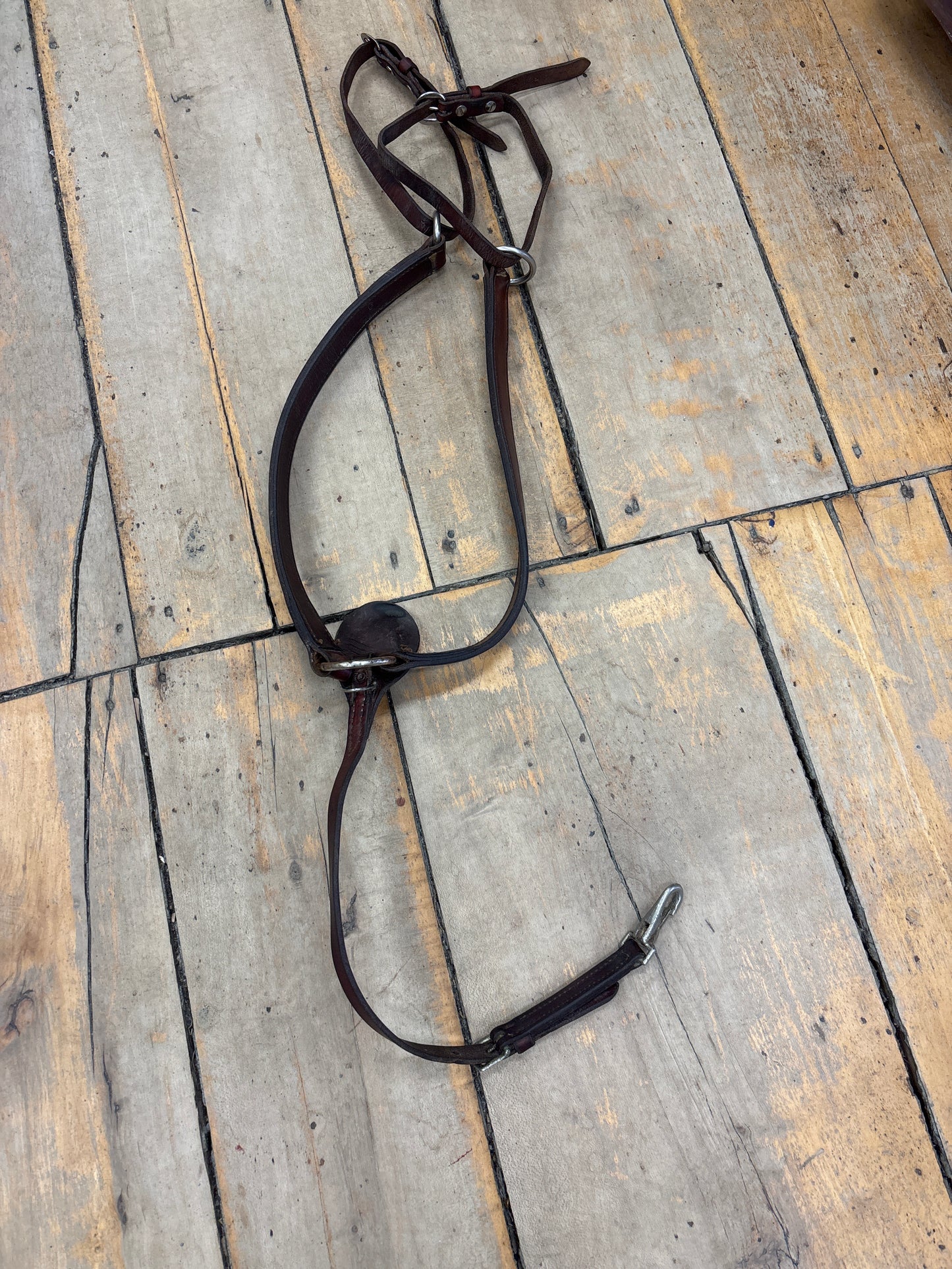 Western Breastcollar-Brown-Full