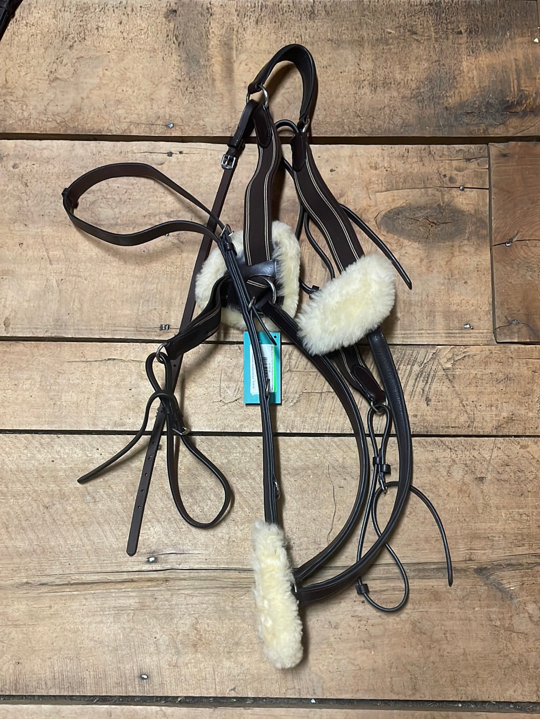 Shires Avignon Five Point Breastplate-Havana-Oversize
