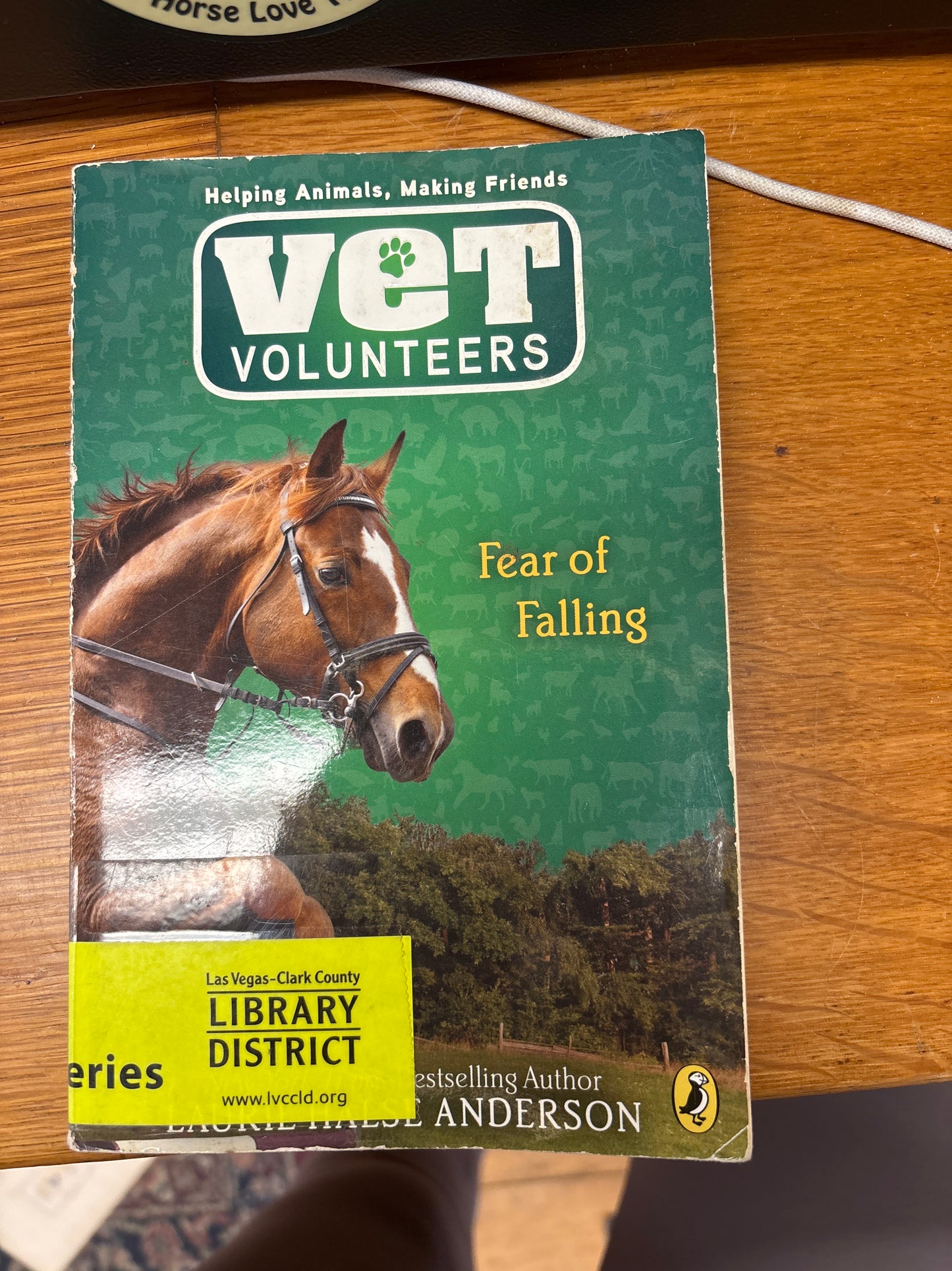 Vet Volunteers Book