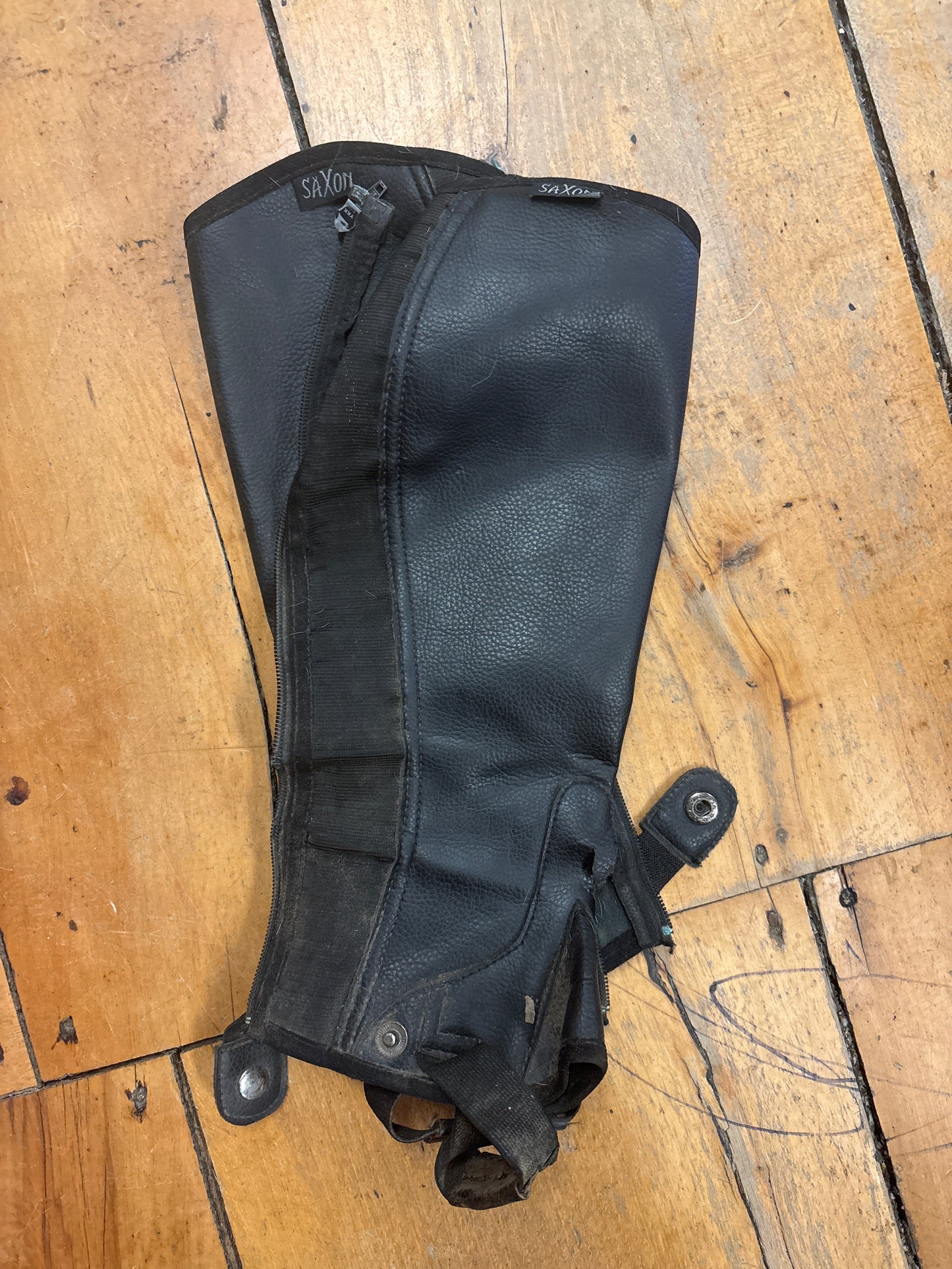 Saxon Half Chaps-Black-Medium
