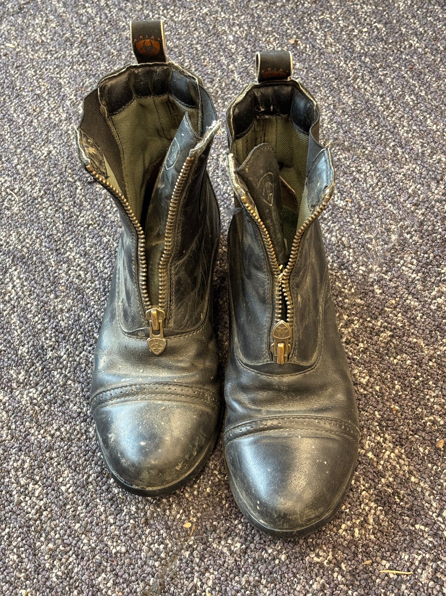 Ariat Paddock Boots-Black-36.5EU