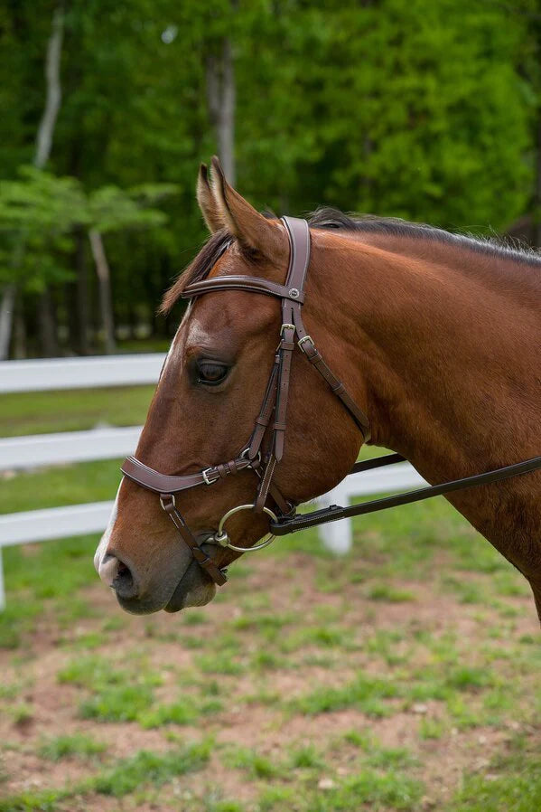 Henri de Rivel Pro Anatomical Bridle