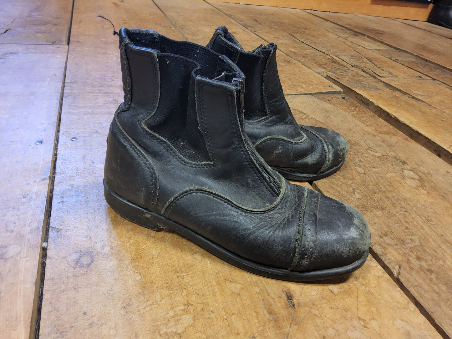 Kids Zip Up Paddock Boots