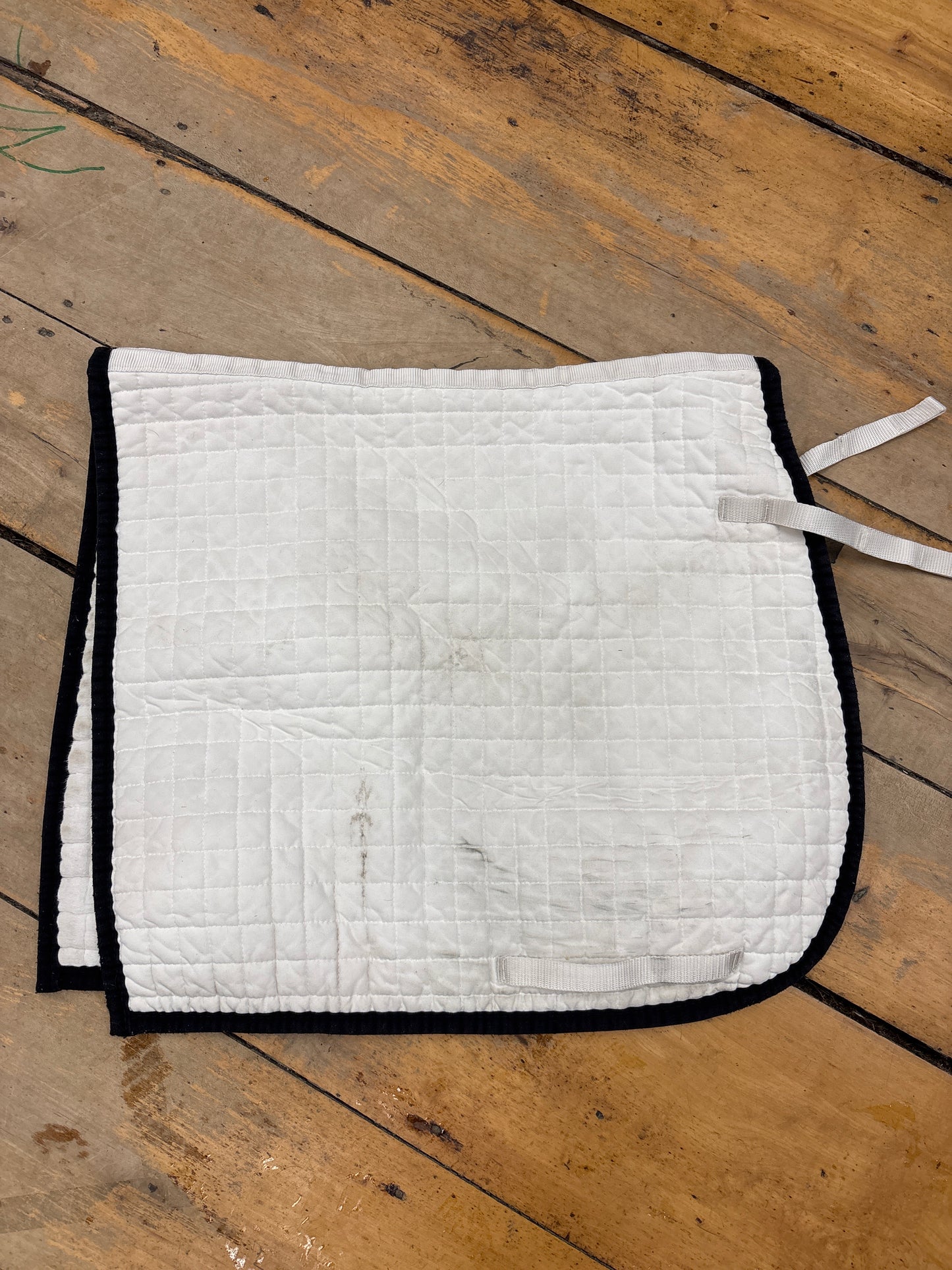 Saddle Pad-White-Dressage