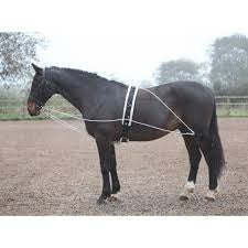 Shires Lunging Aid System-Black-Full