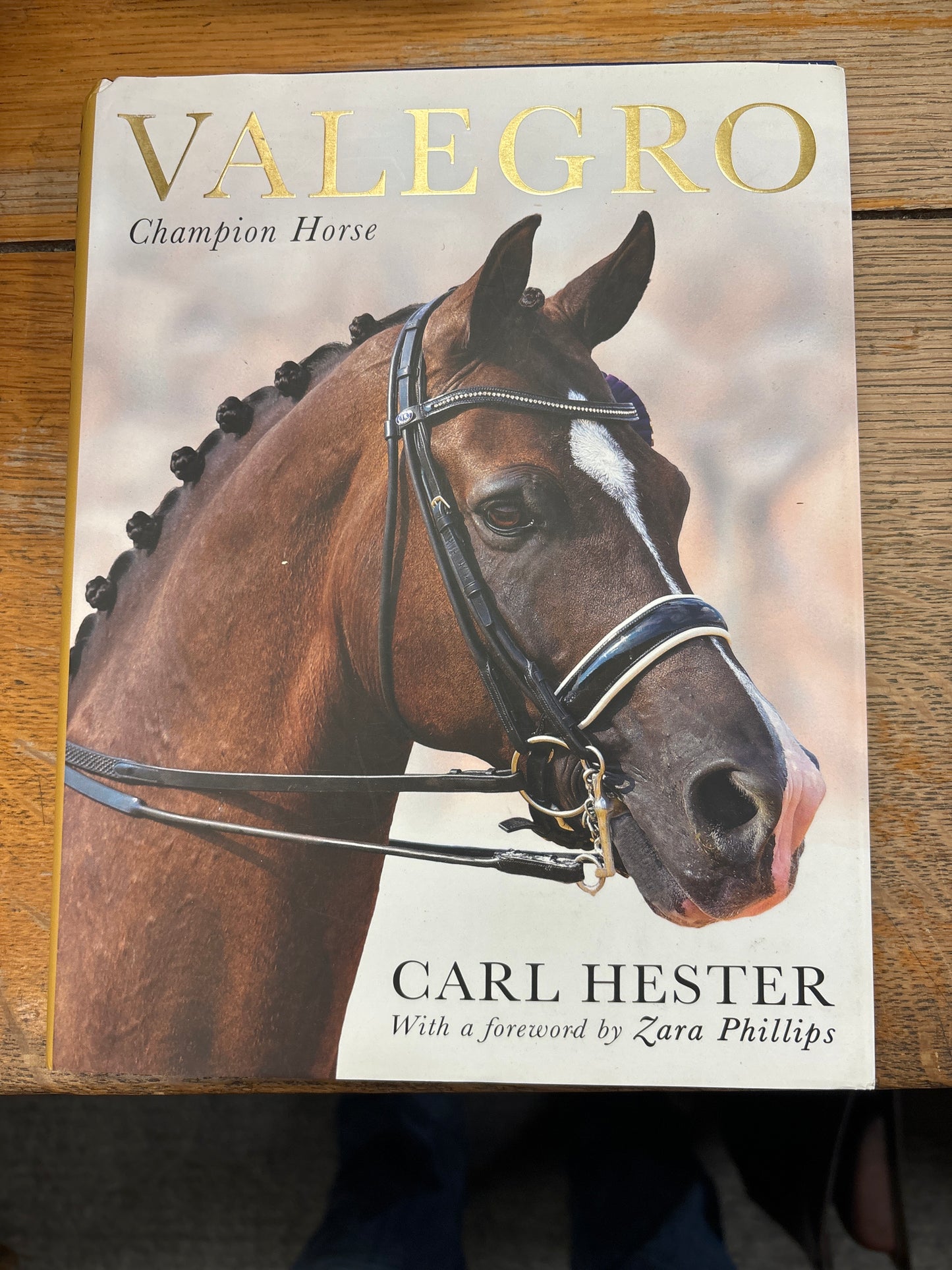 Valegro: Champion Horse