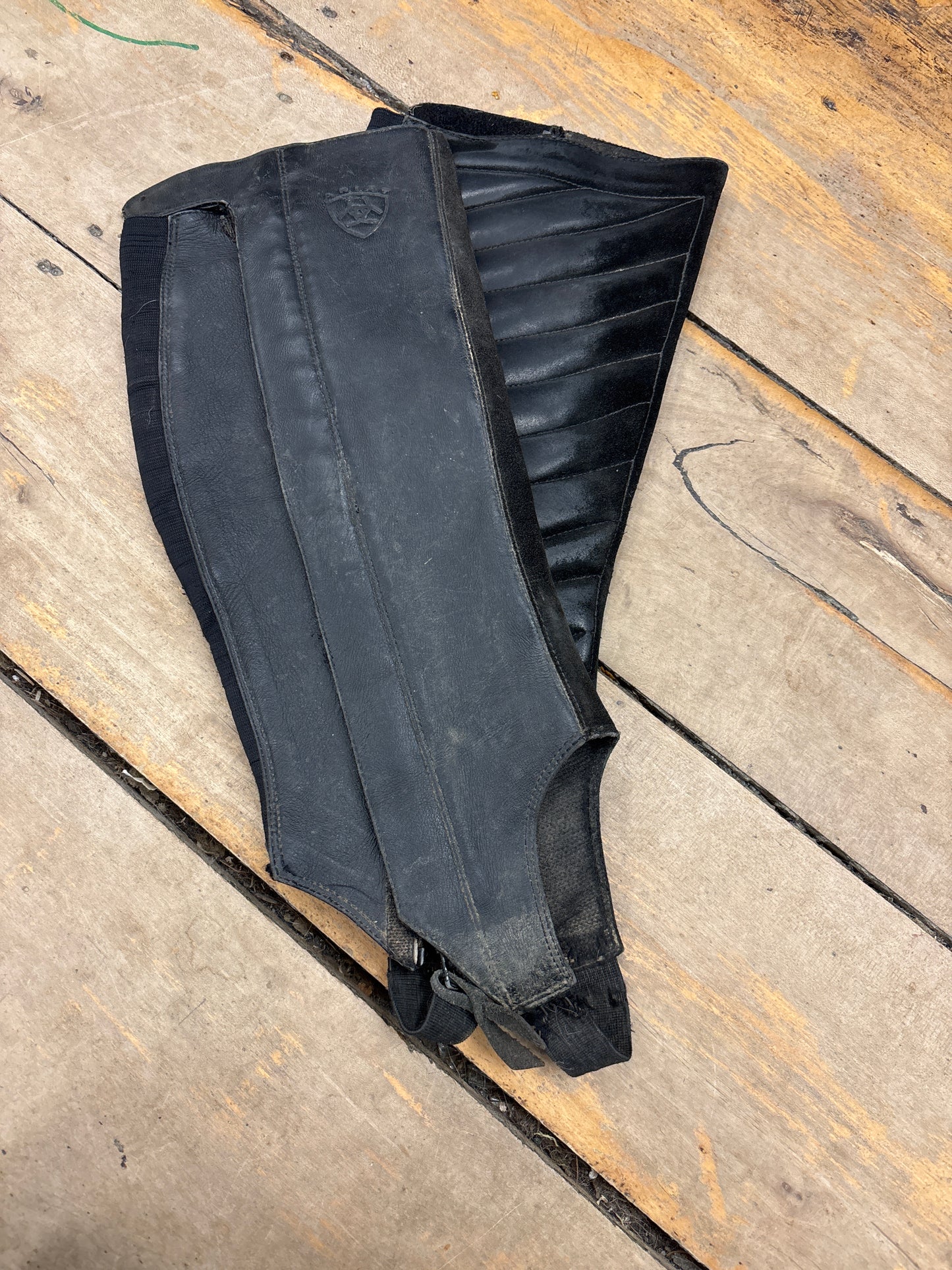 Ariat Half Chaps-Black-XLarge