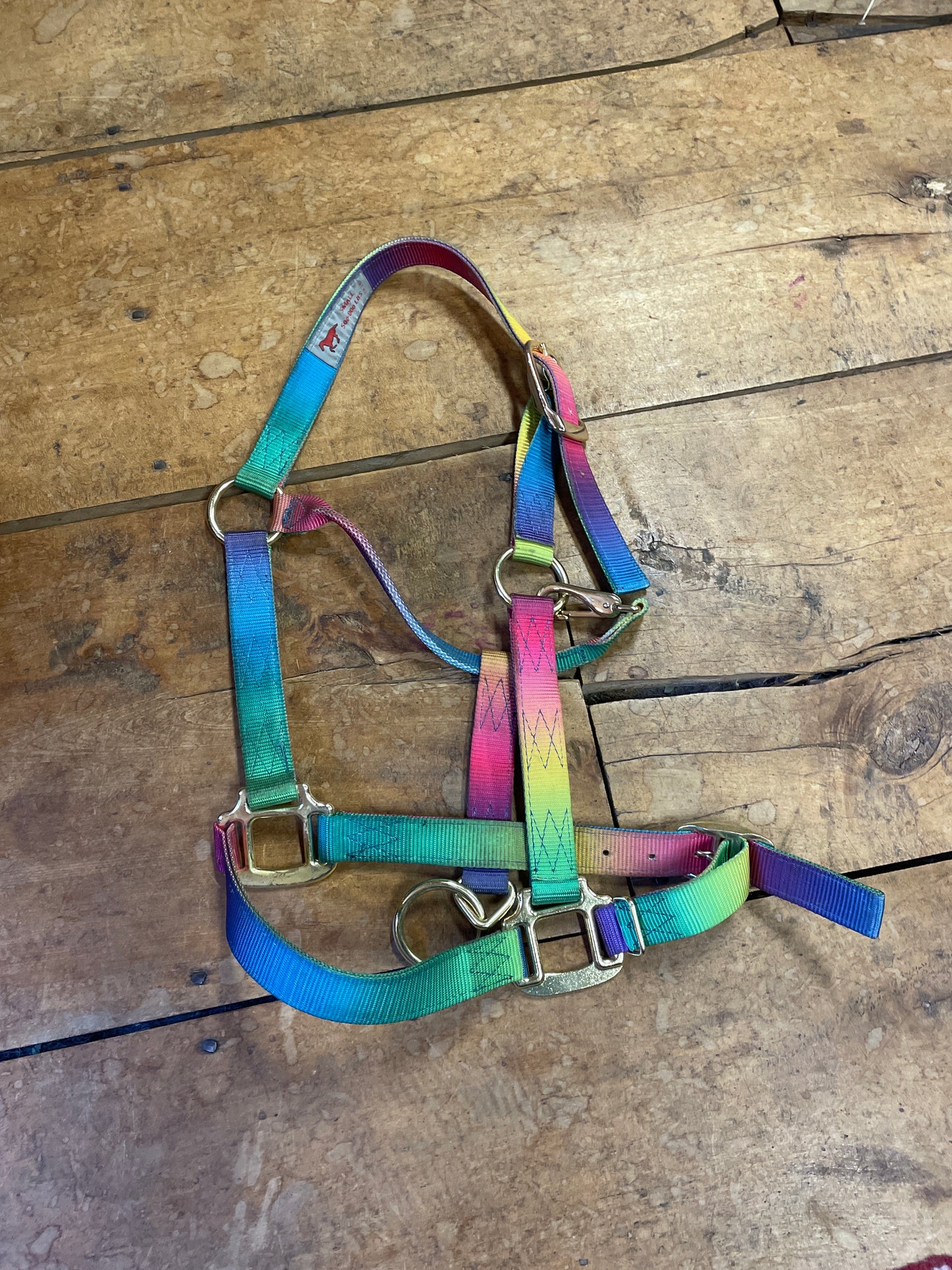 Nylon Halter-Rainbow-Small Horse