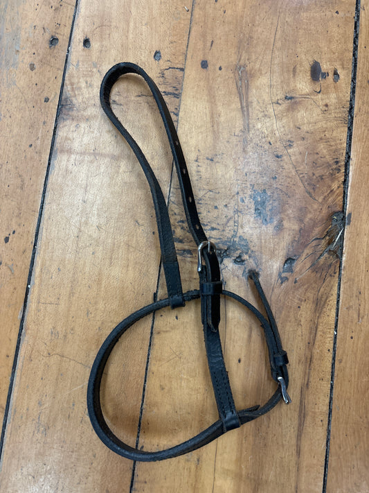 Noseband-Brown-Mini