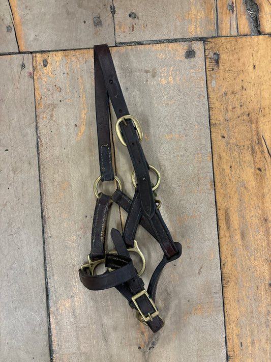 Foal Halter-Brown Leather