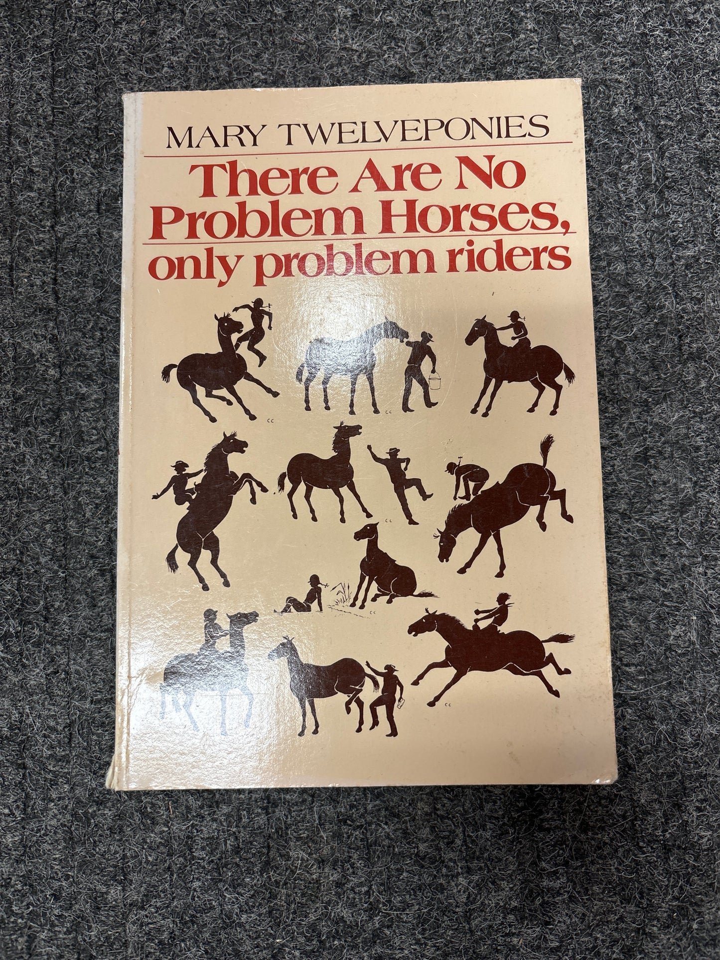 There are No Problem Horses, only problem riders