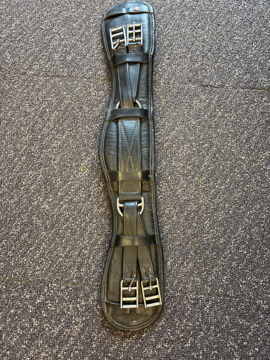 Albion Equalizer Girth-24”-Black