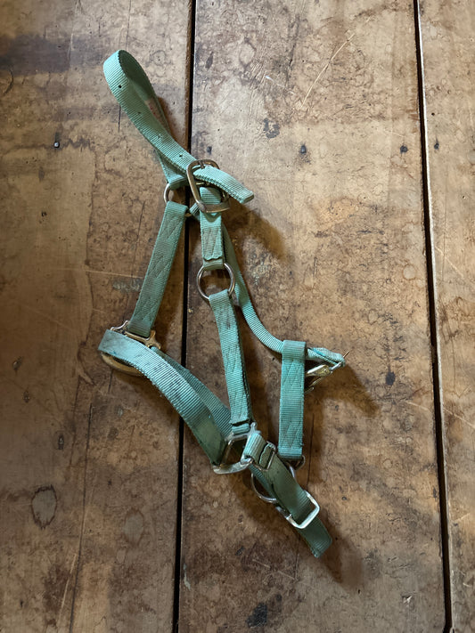 Nylon Halter-Green-Cob