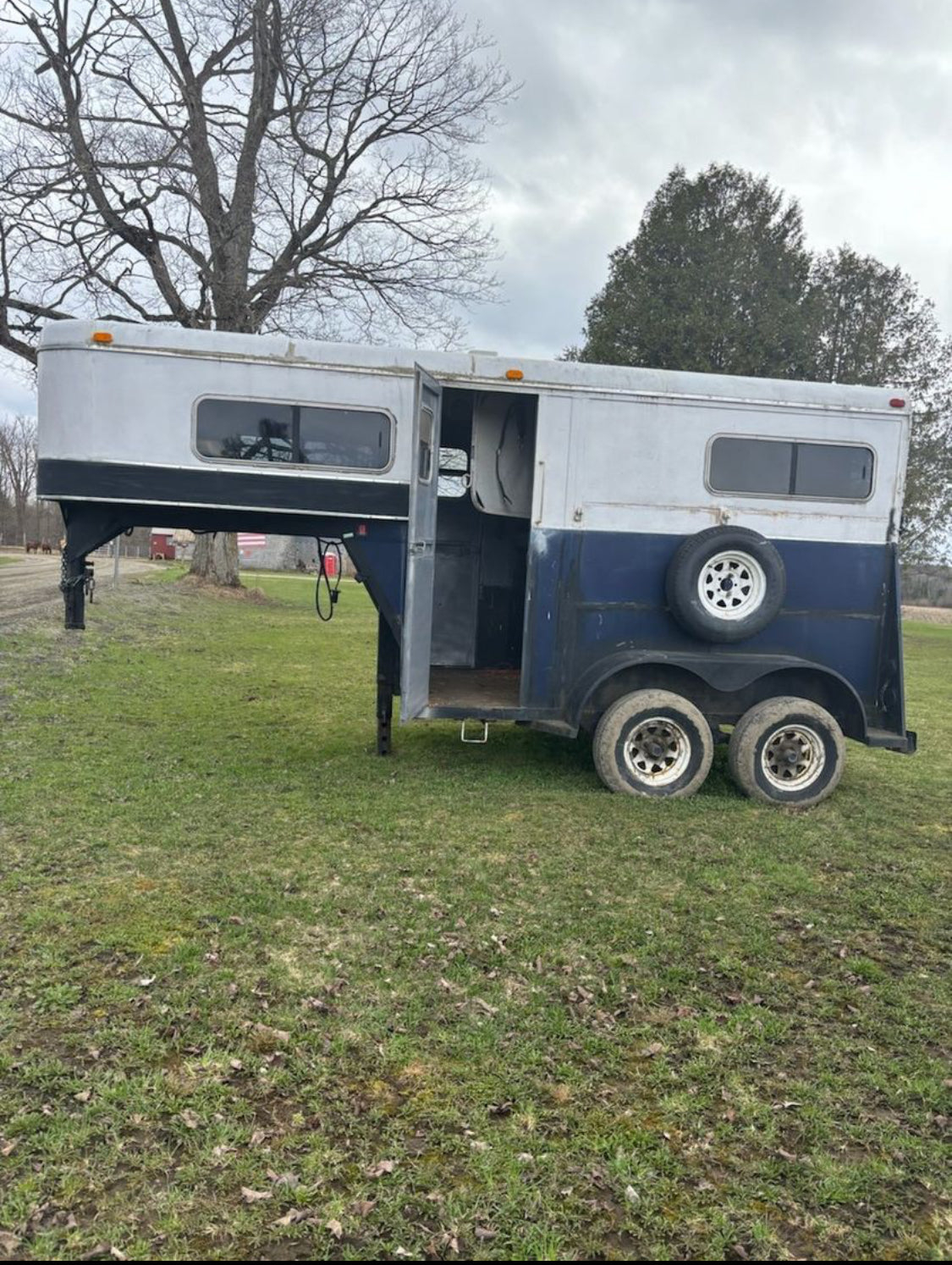 1990 2 Horse Straight Load Gooseneck Trailer