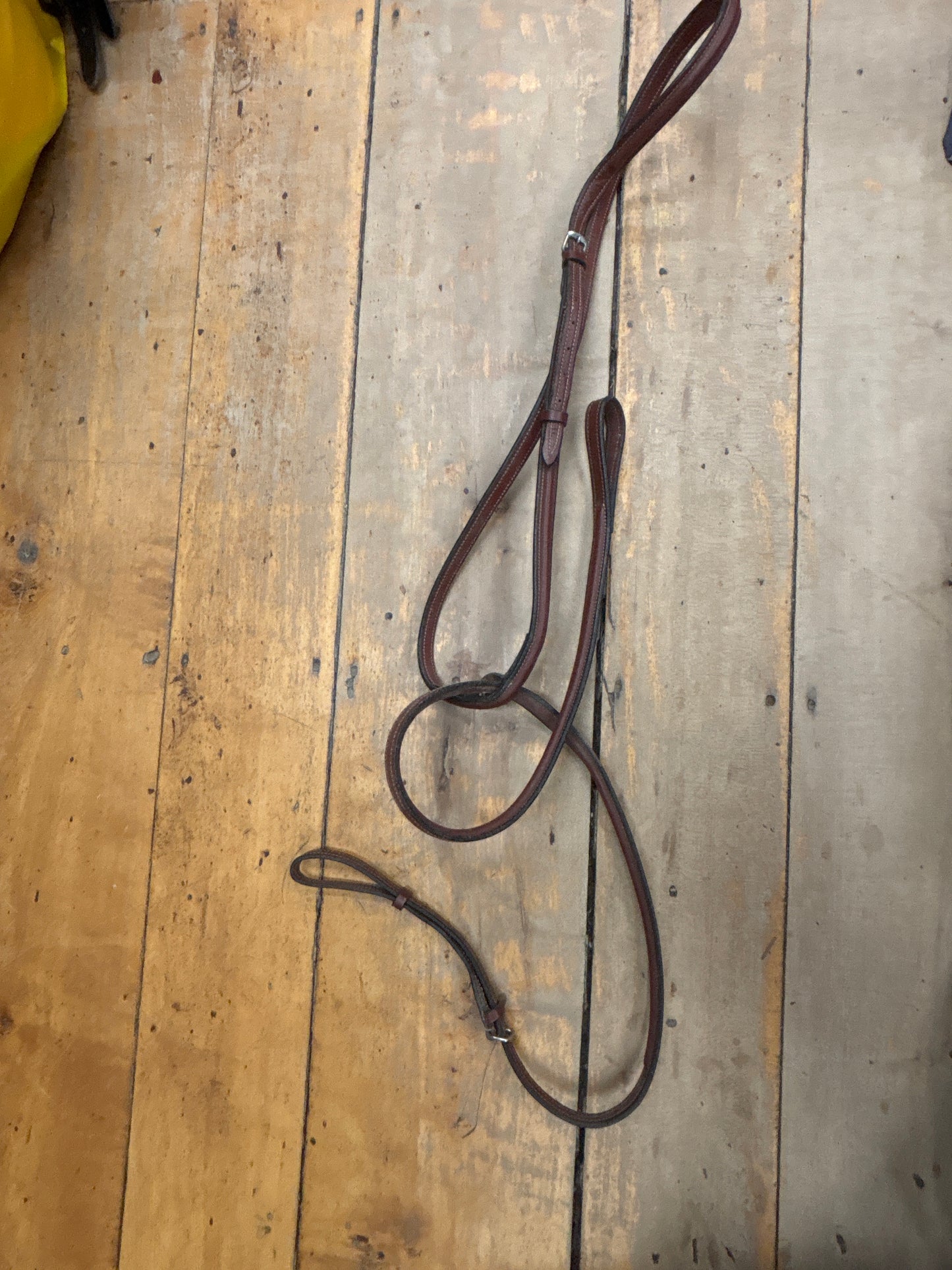 Standing Martingale-Brown-Full