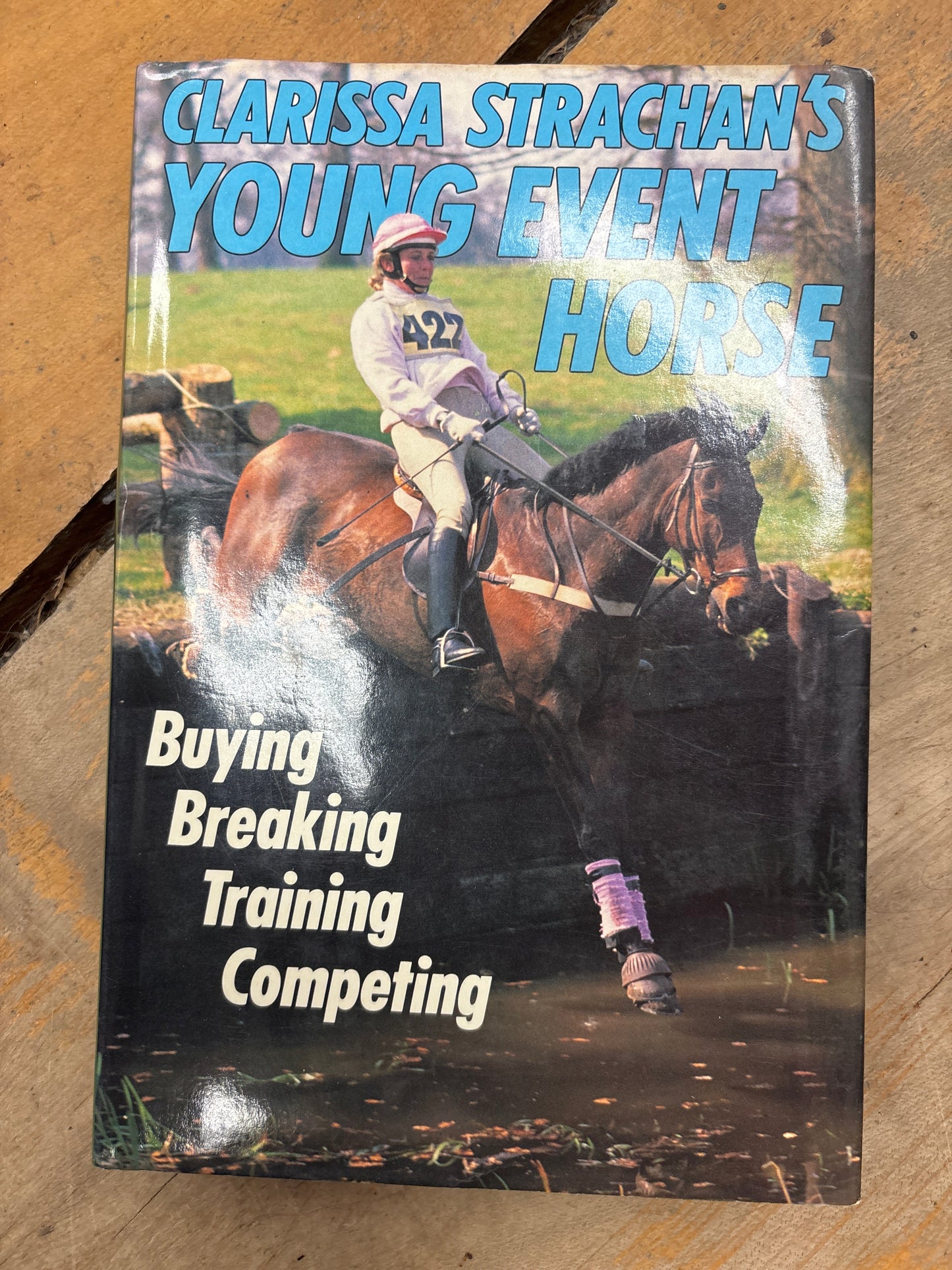 Young Event Horse