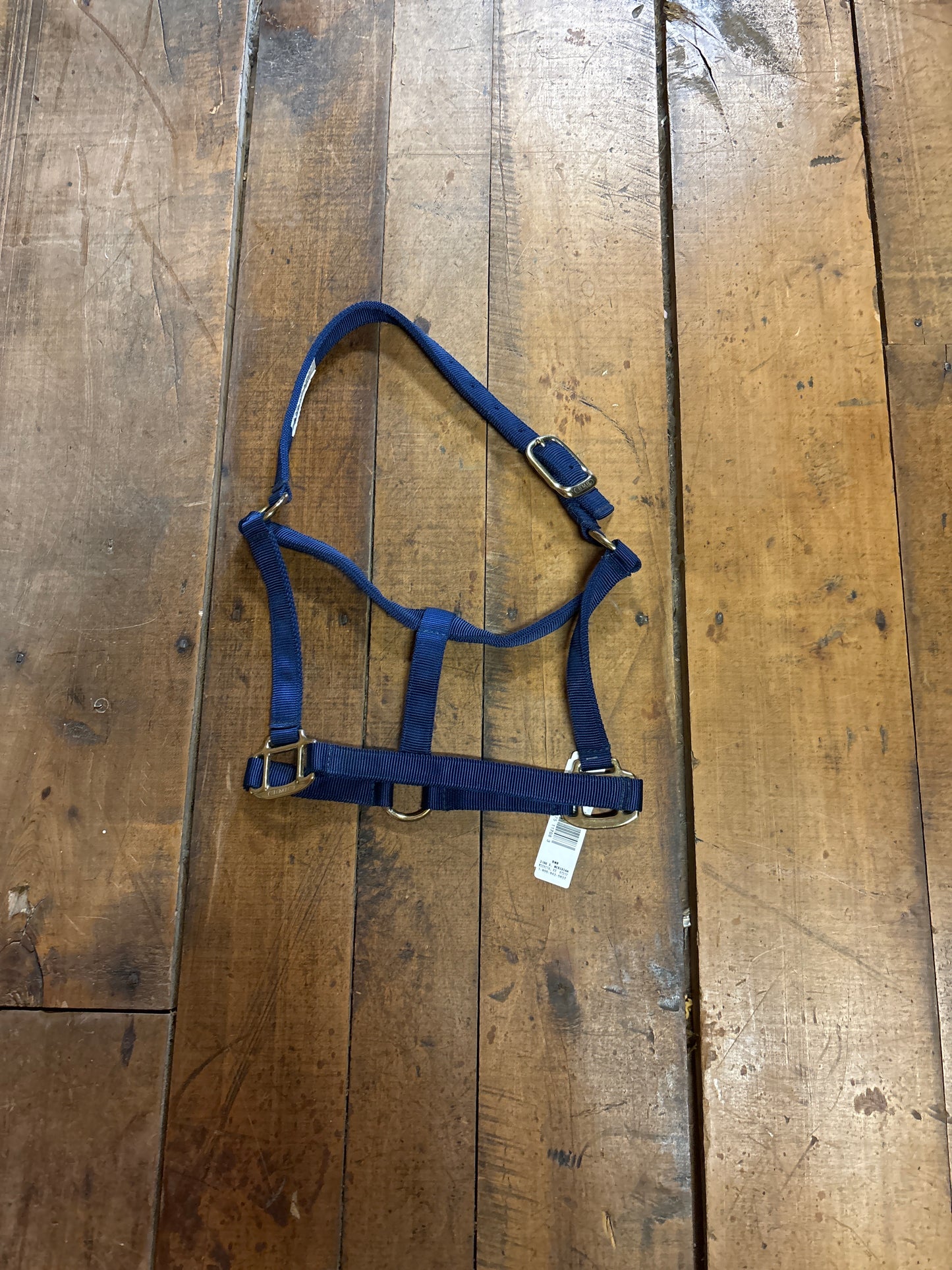 BMB Halter-Navy-Cob