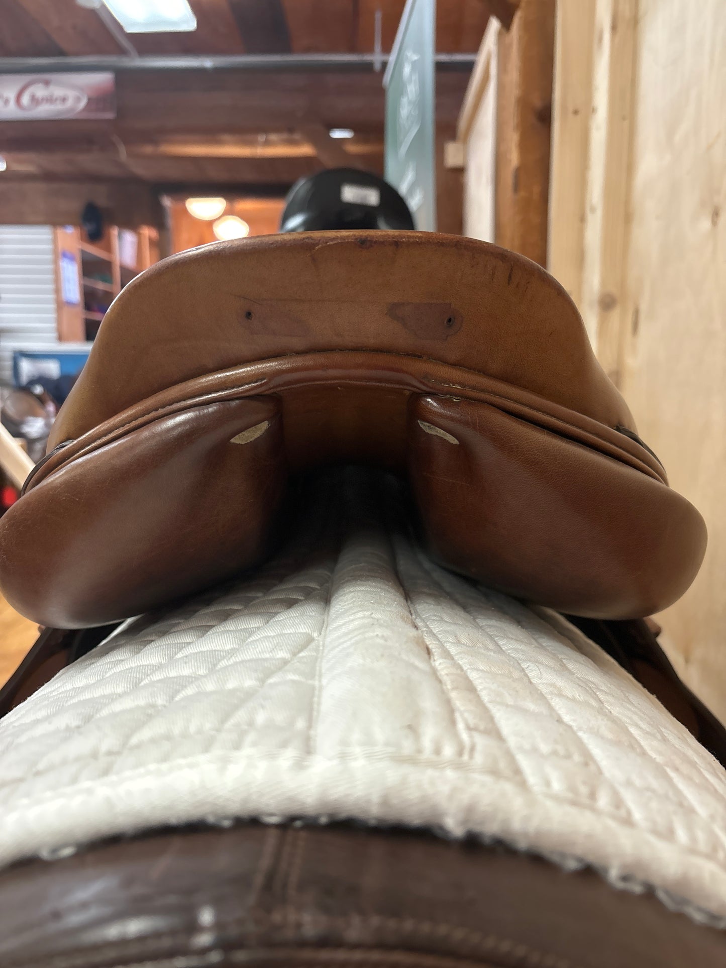 CWD Jump Saddle-Brown-Medium-18”