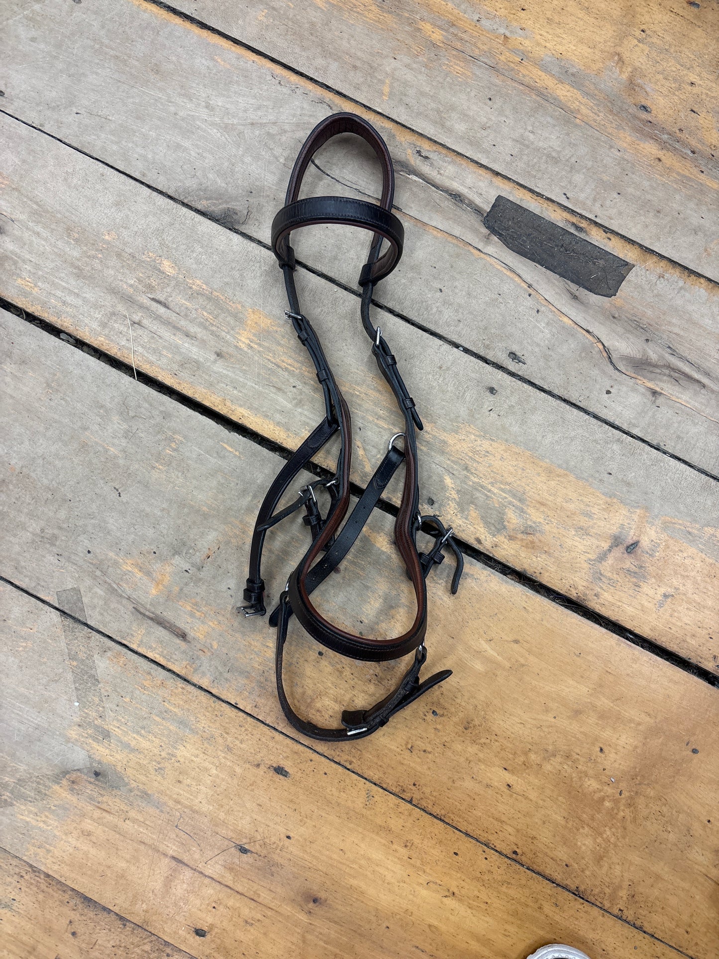 Micklem Competition Bridle-Brown-Horse