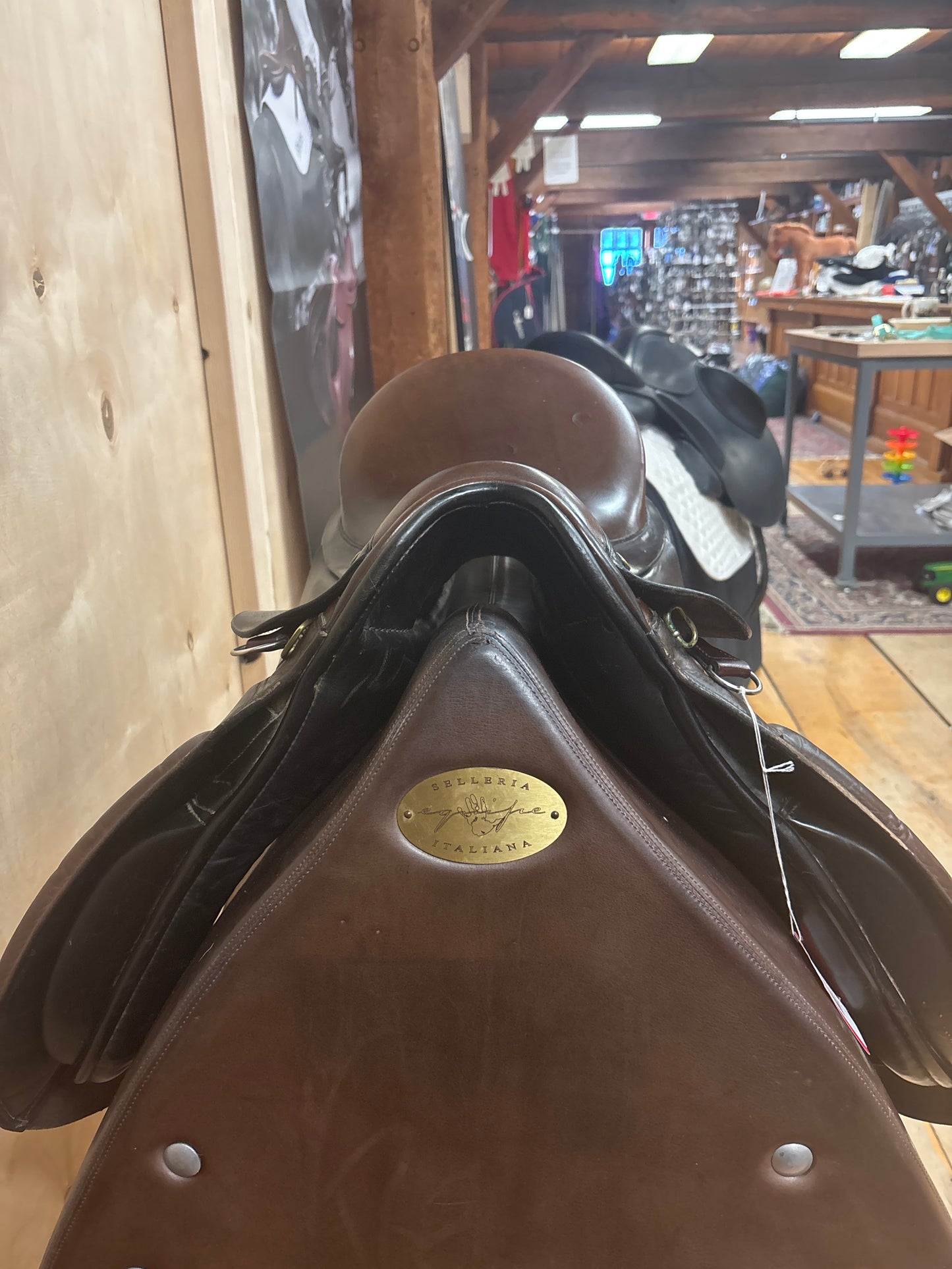 Albion HR Dressage Saddle-BiColor-16.5”-Narrow