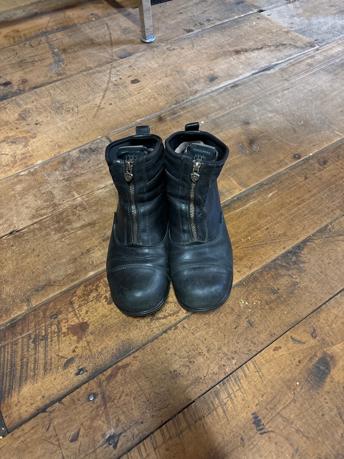 Ariat Winter Paddock Boots-Black-9.5