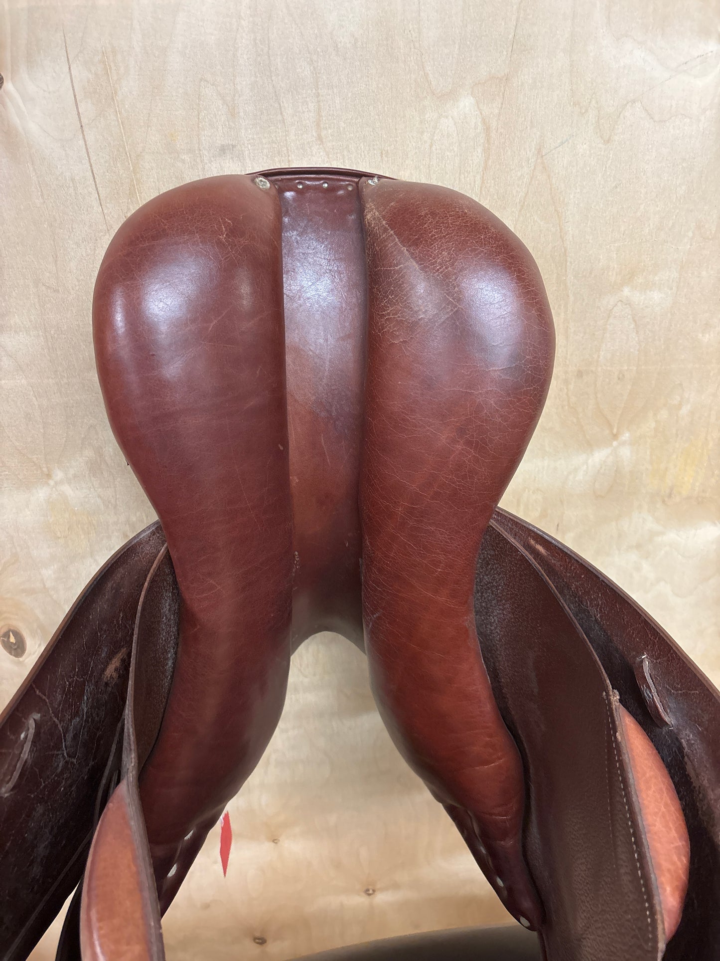 Dominus Jump Saddle-Brown-17.5”-Medium