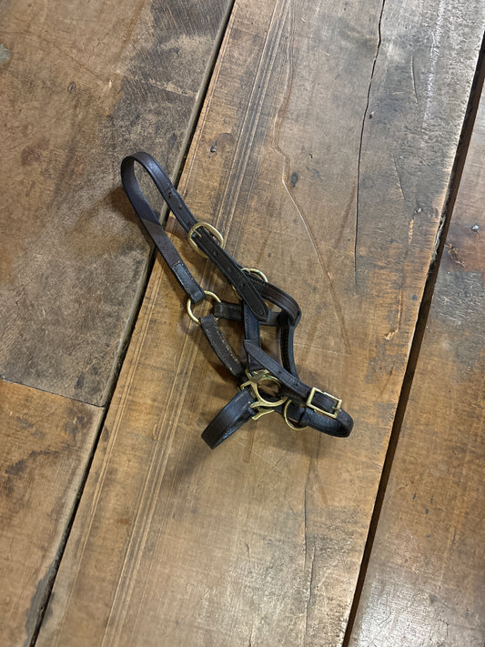 Leather Foal Halter-Brown