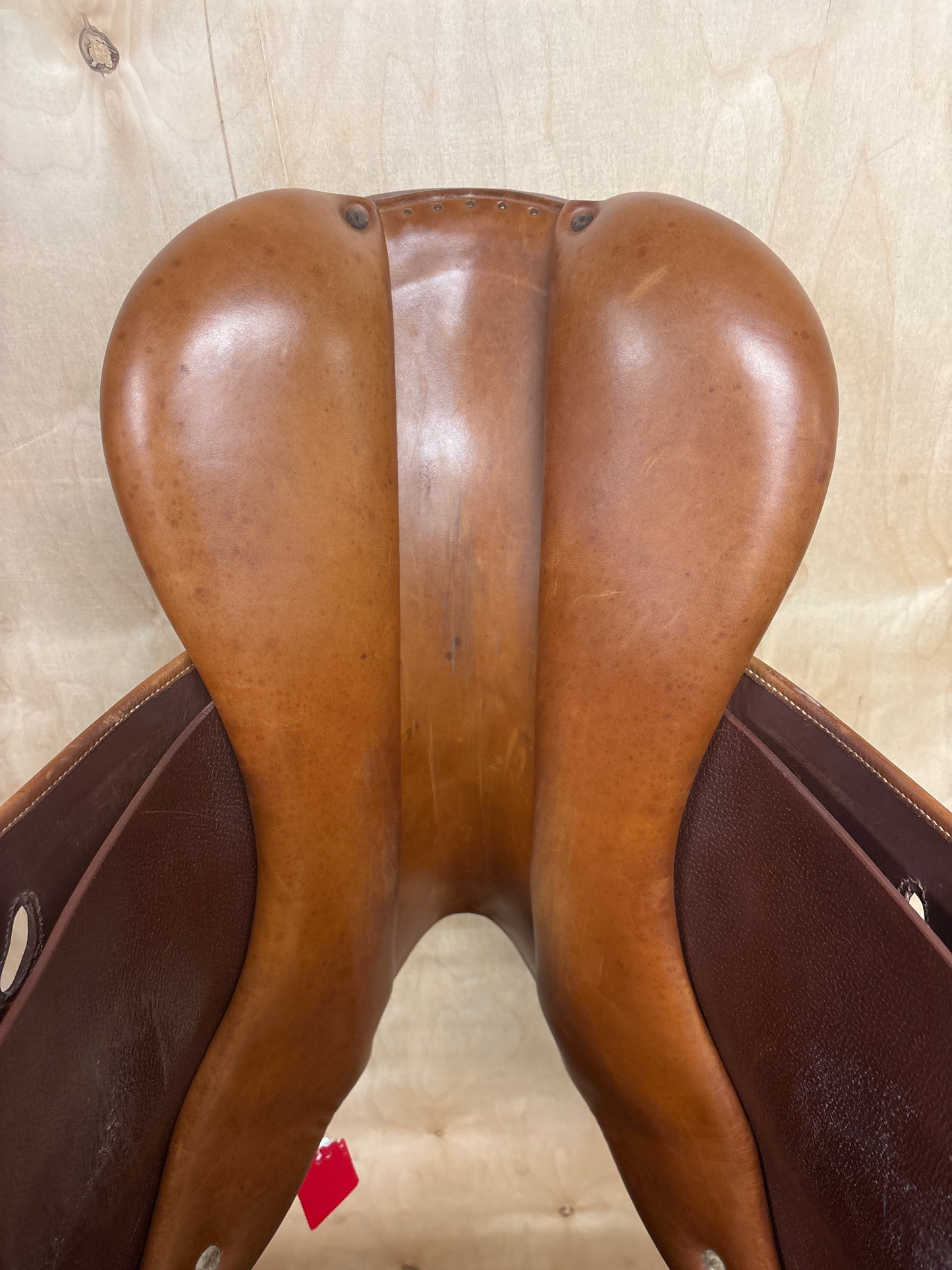 Antares Jump Saddle-Brown-18”-Medium