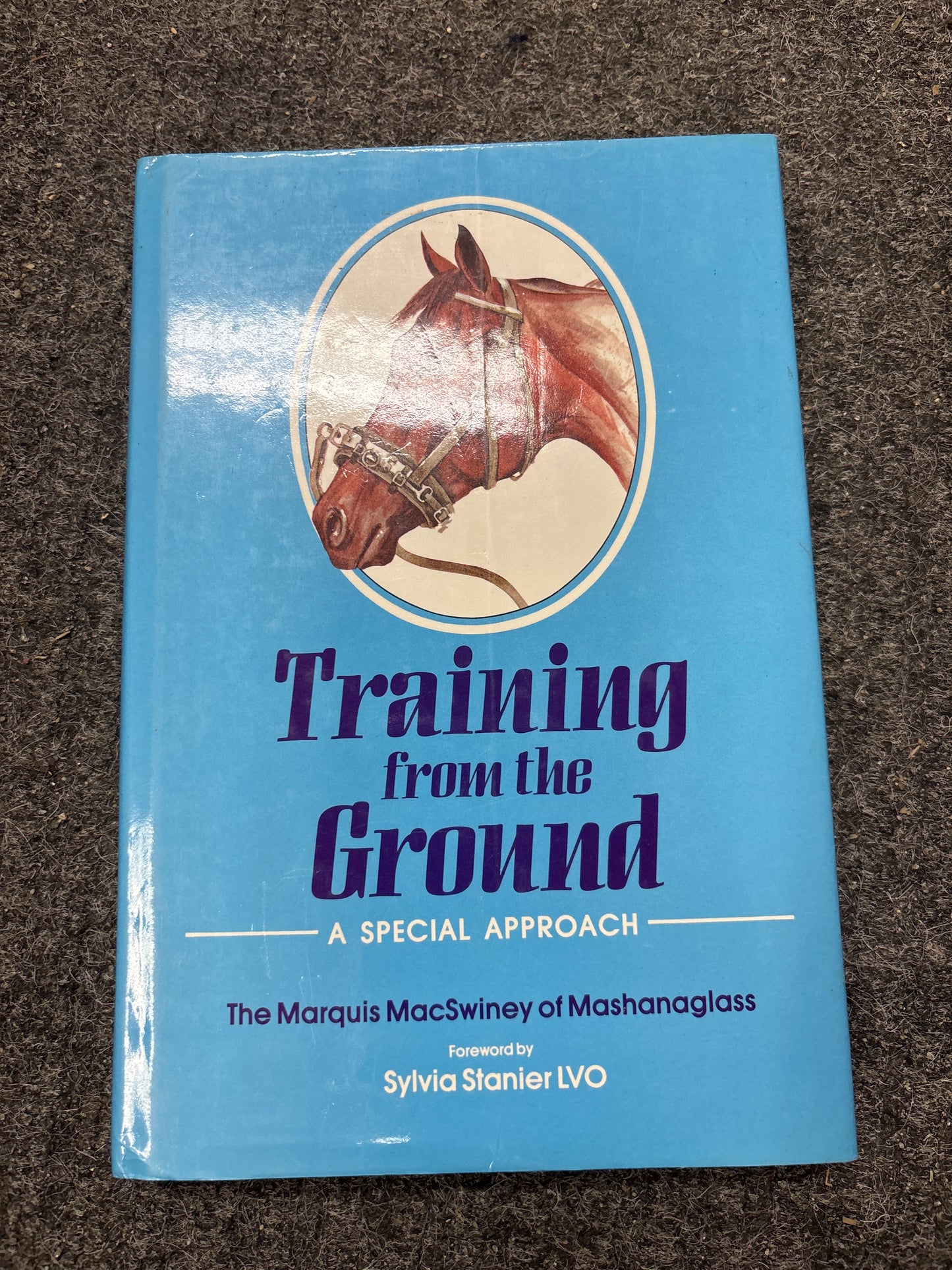 Training from the Ground