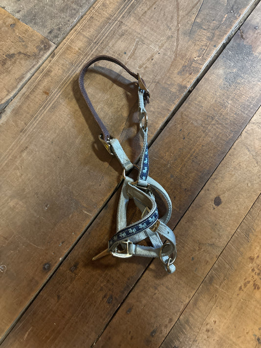 Breakaway Halter-Blue-Pony