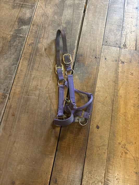 Weaver Breakaway Halter-Purple-Small Horse