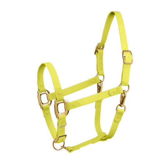 ICavallo Biothane Breakaway Halter