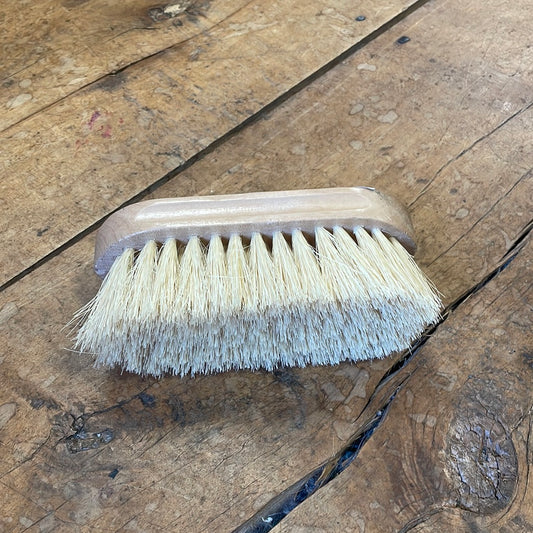 Small Wood Back Dandy Brush w Tampico Bristles