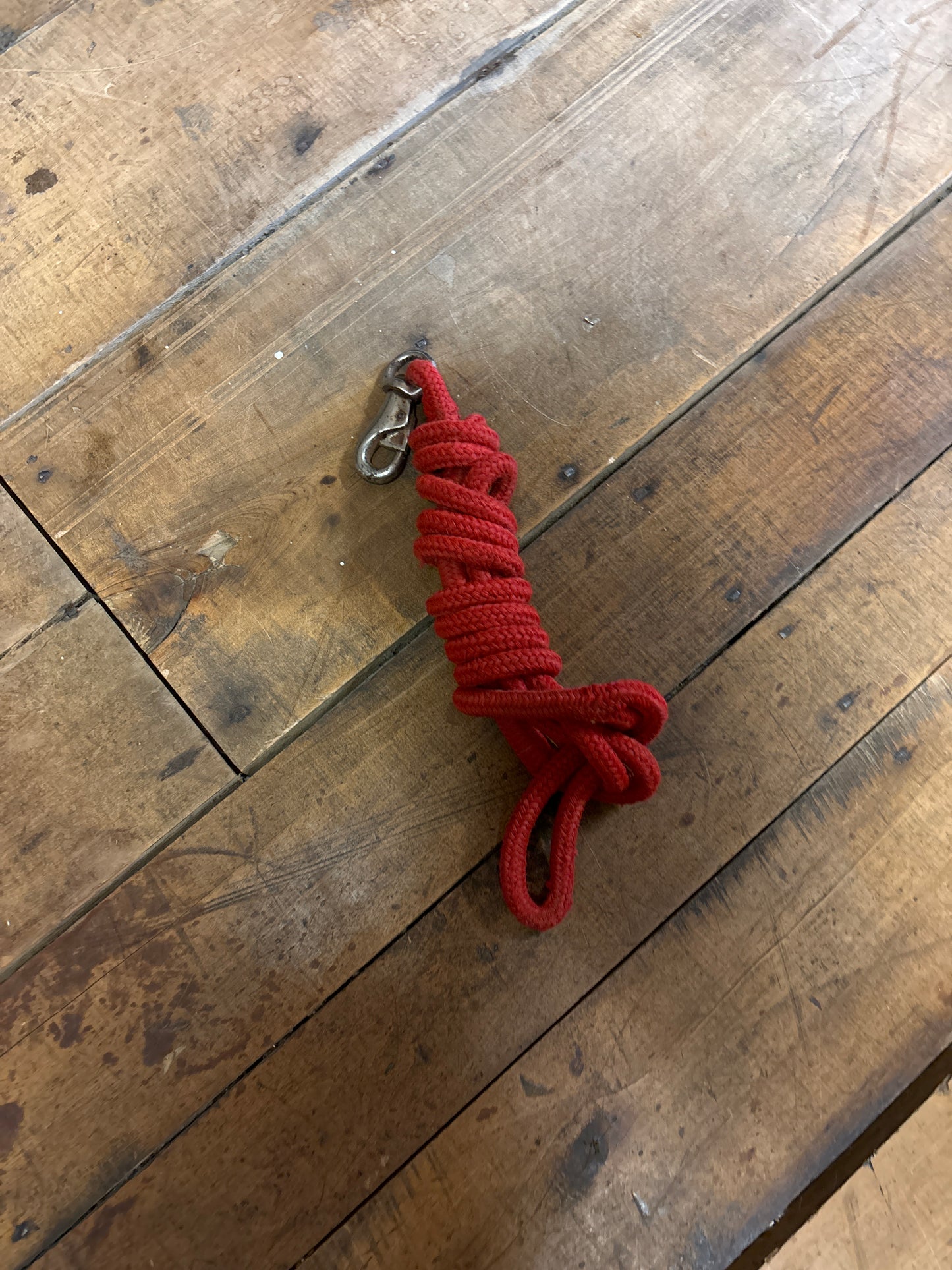 12’ Lead Rope-Red