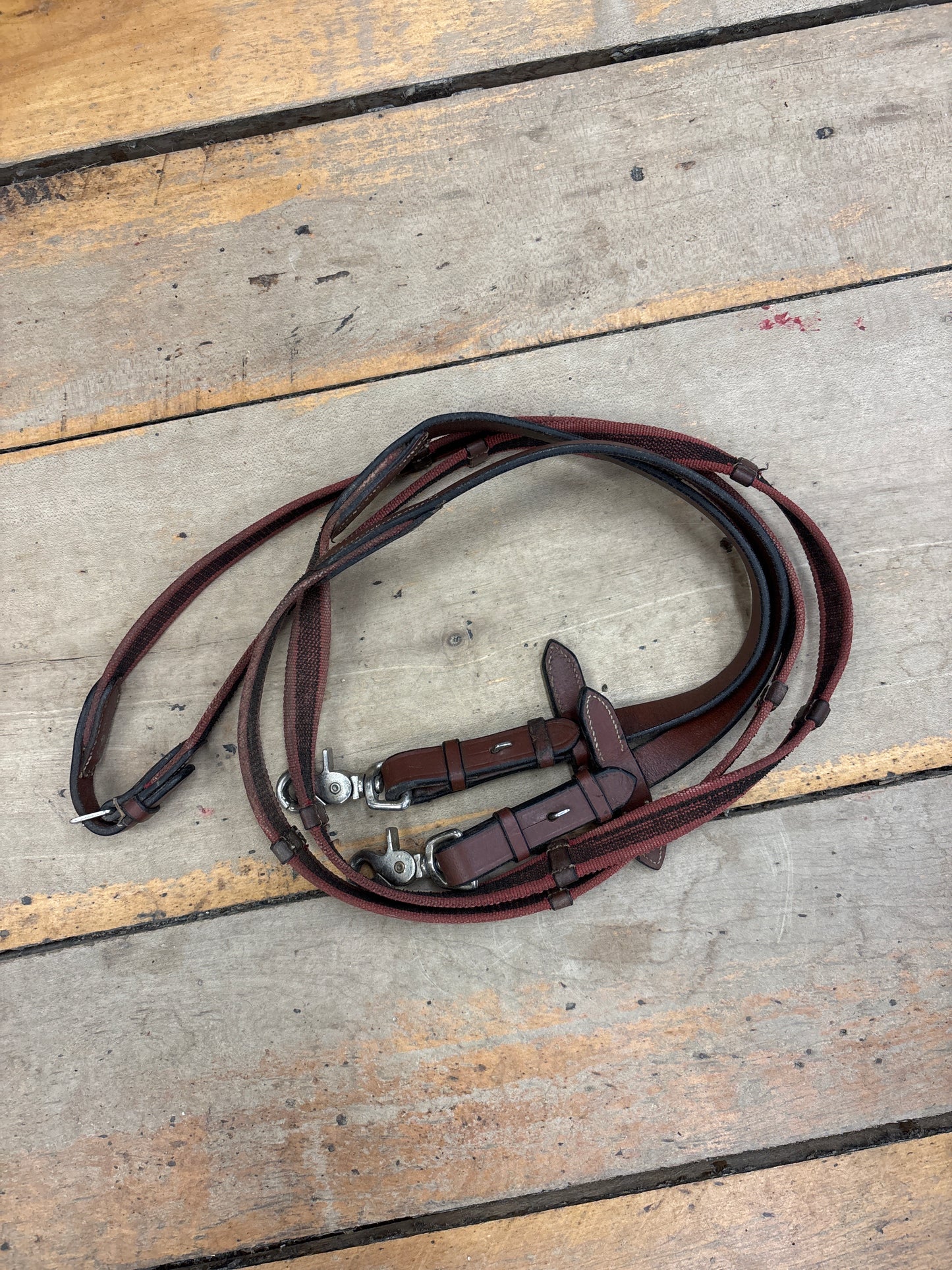 Webbed Reins with Snaps-Red