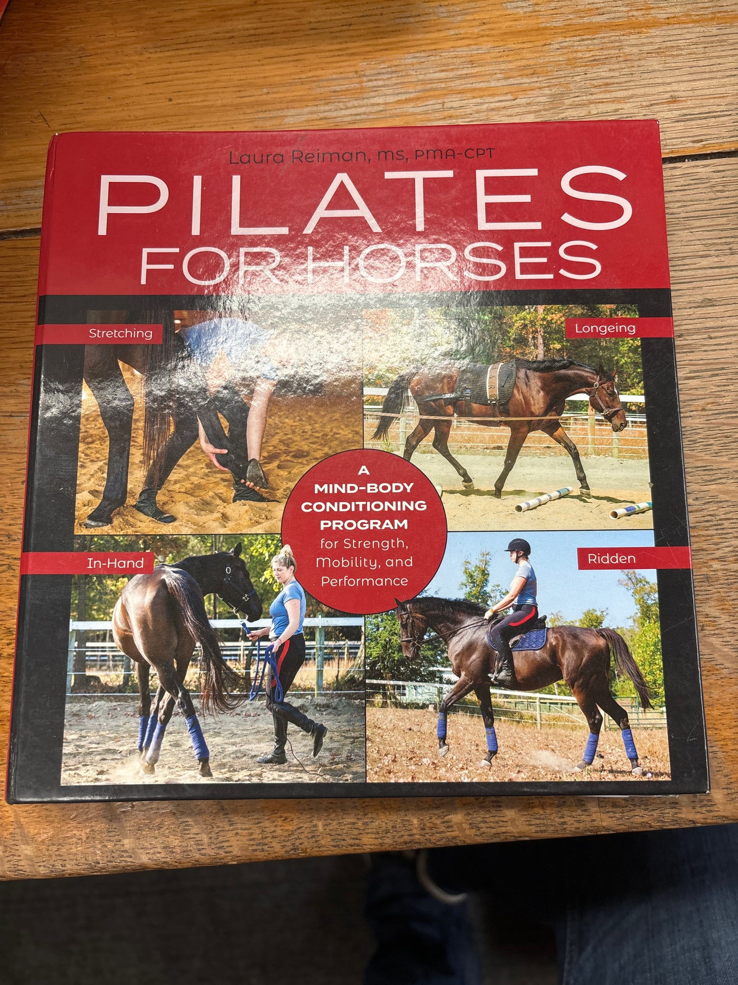 Pilates for Horses