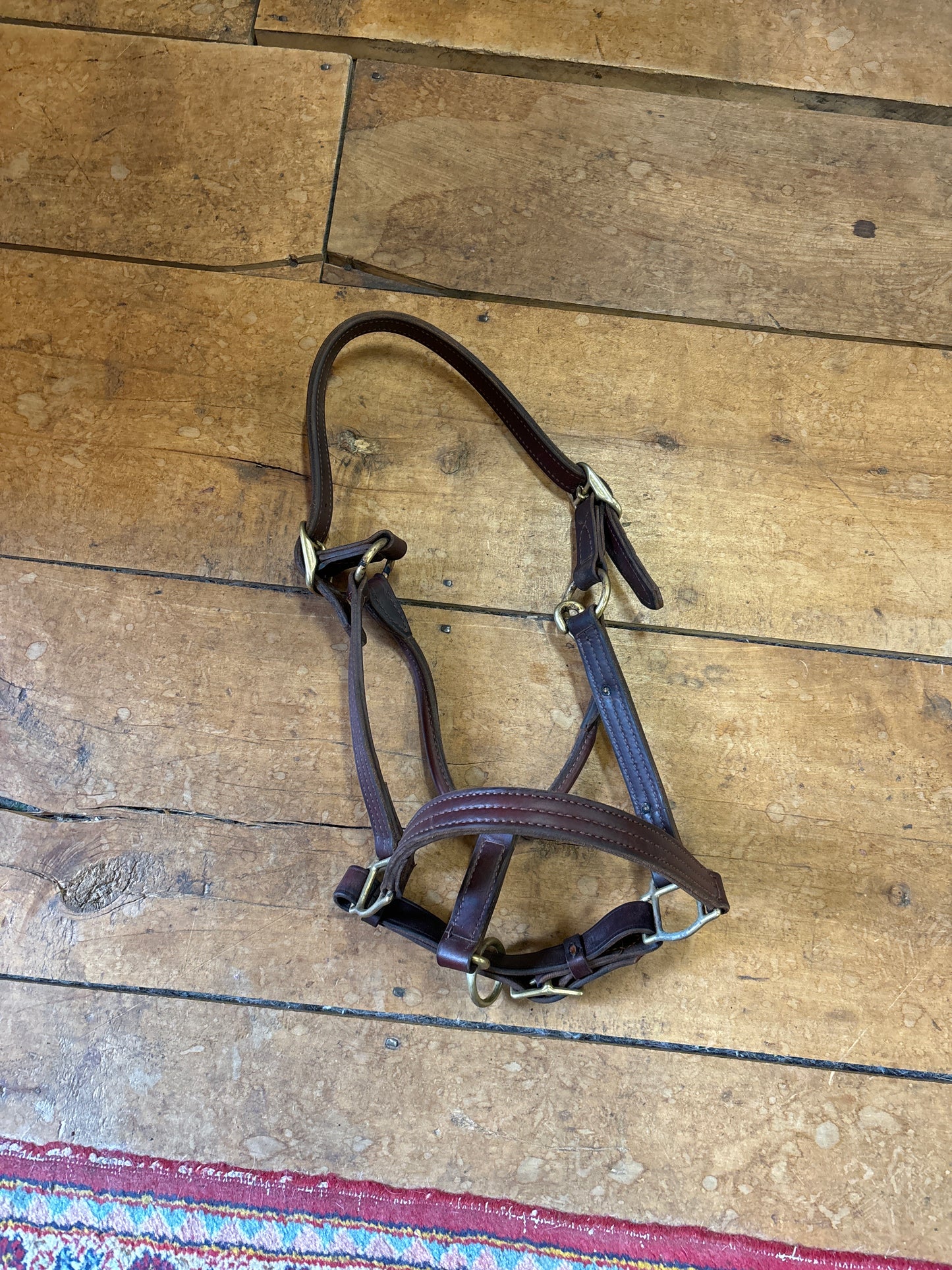 Leather Halter-Brown-Full