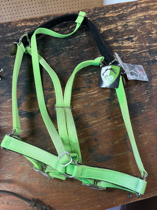 GG Equine Halter-Green-Full