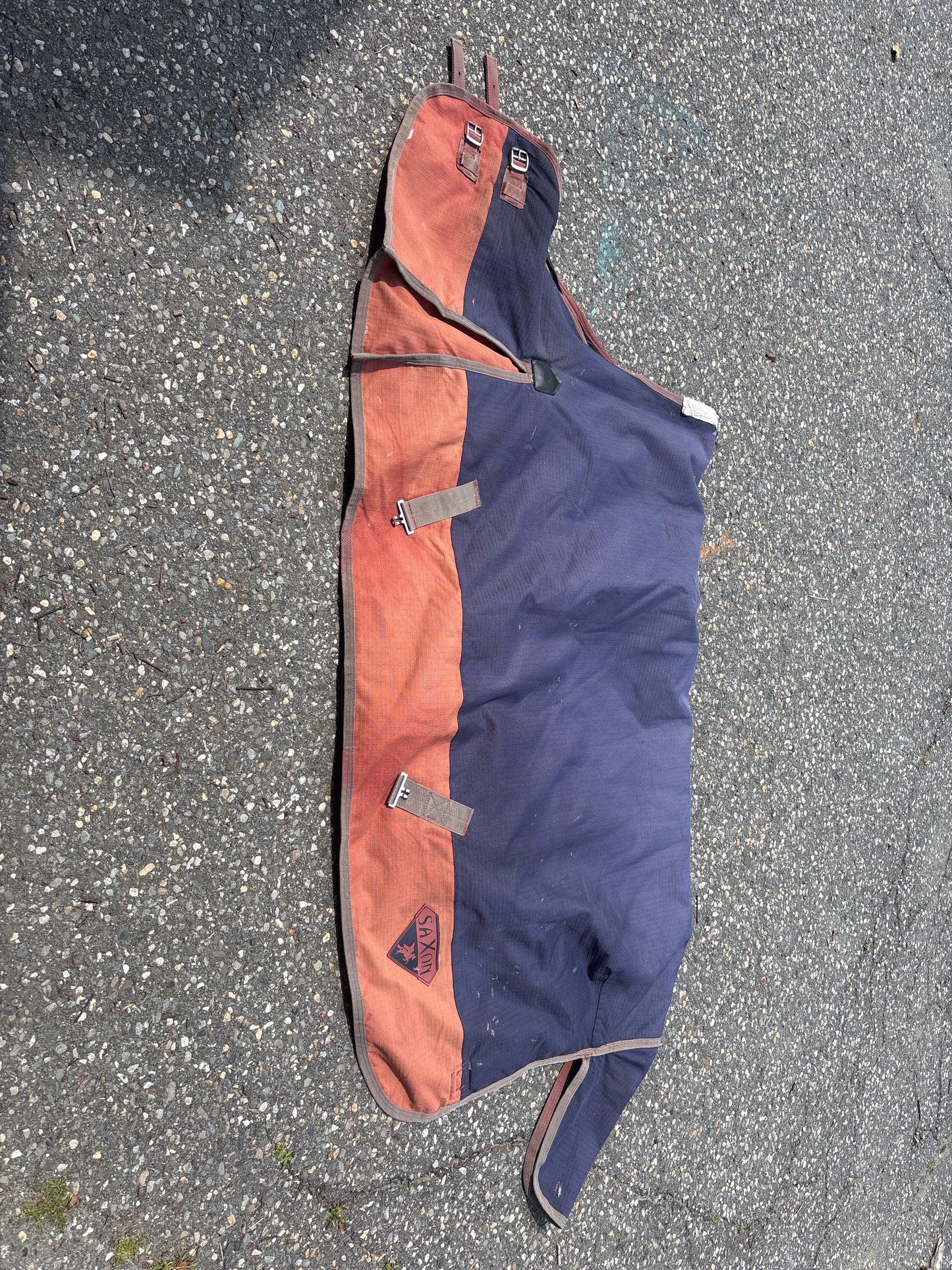 Saxon Heavy Weight Turnout-Navy/Orange-72”