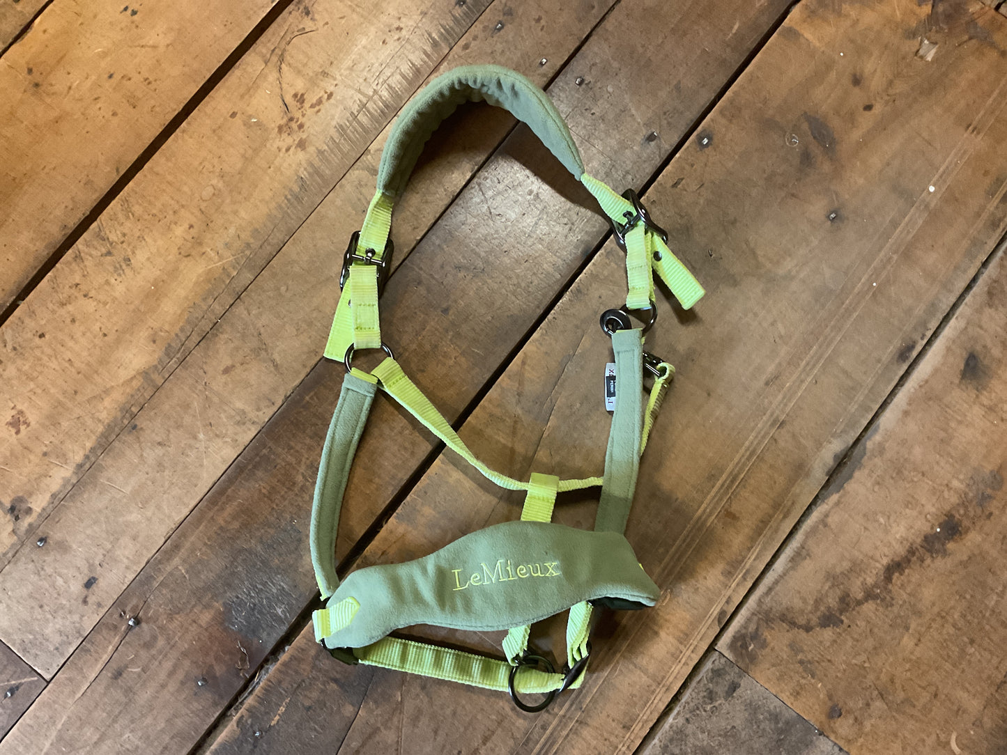 LeMieux Vogue Fleece Halter- Kiwi