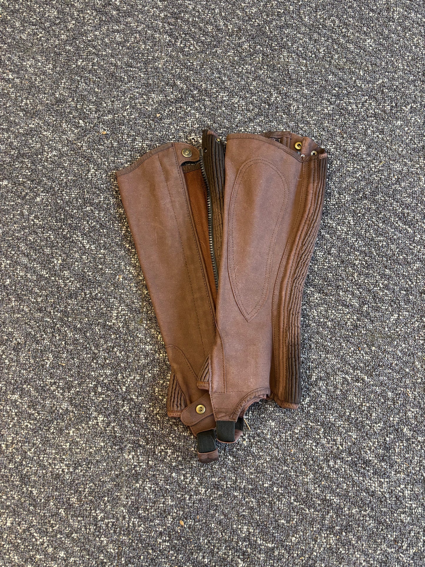 Ovation Half Chaps-Brown-Medium