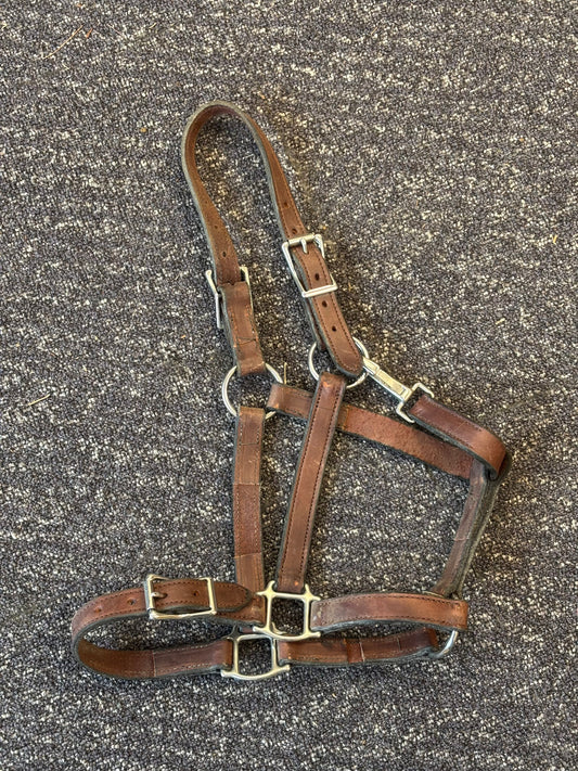 Leather Halter-Brown-Full
