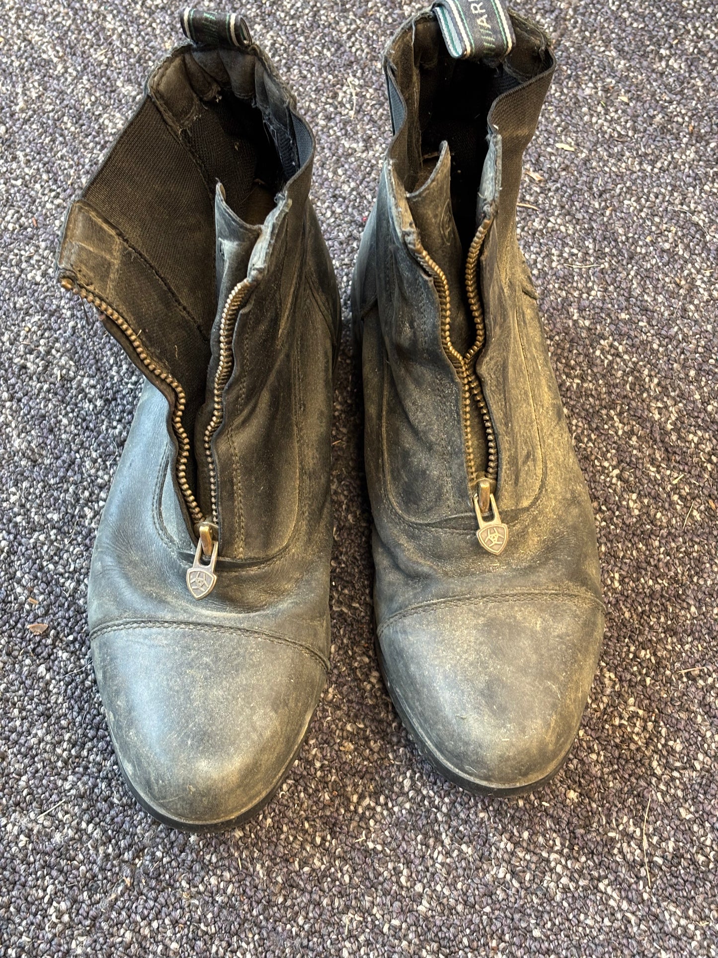 Ariat Paddock Boots-Black-9